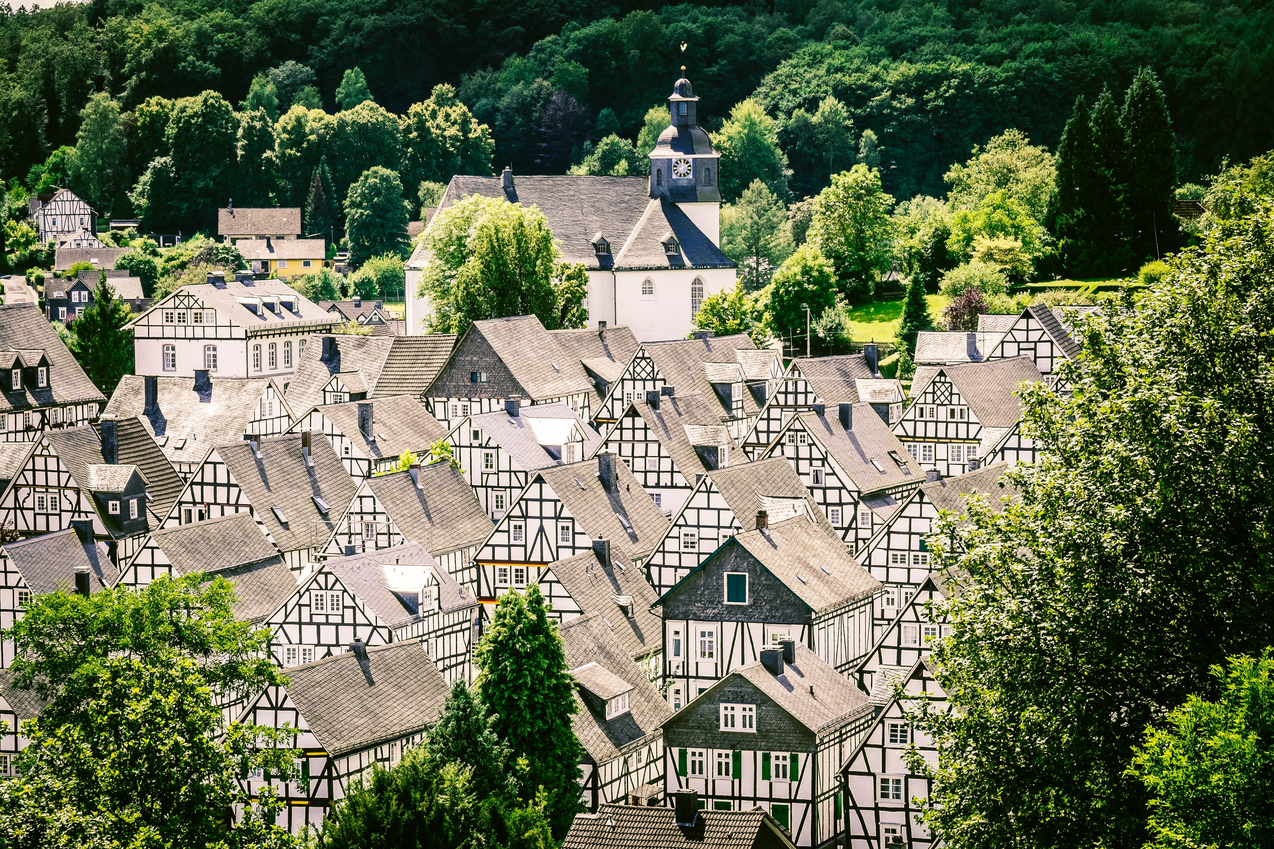 green color, homes, residential district, outdoors, sunlight, europe, Truss, architecture, places of interest, 4K, old, day, growth, Freudenberg, castle, HD Wallpaper