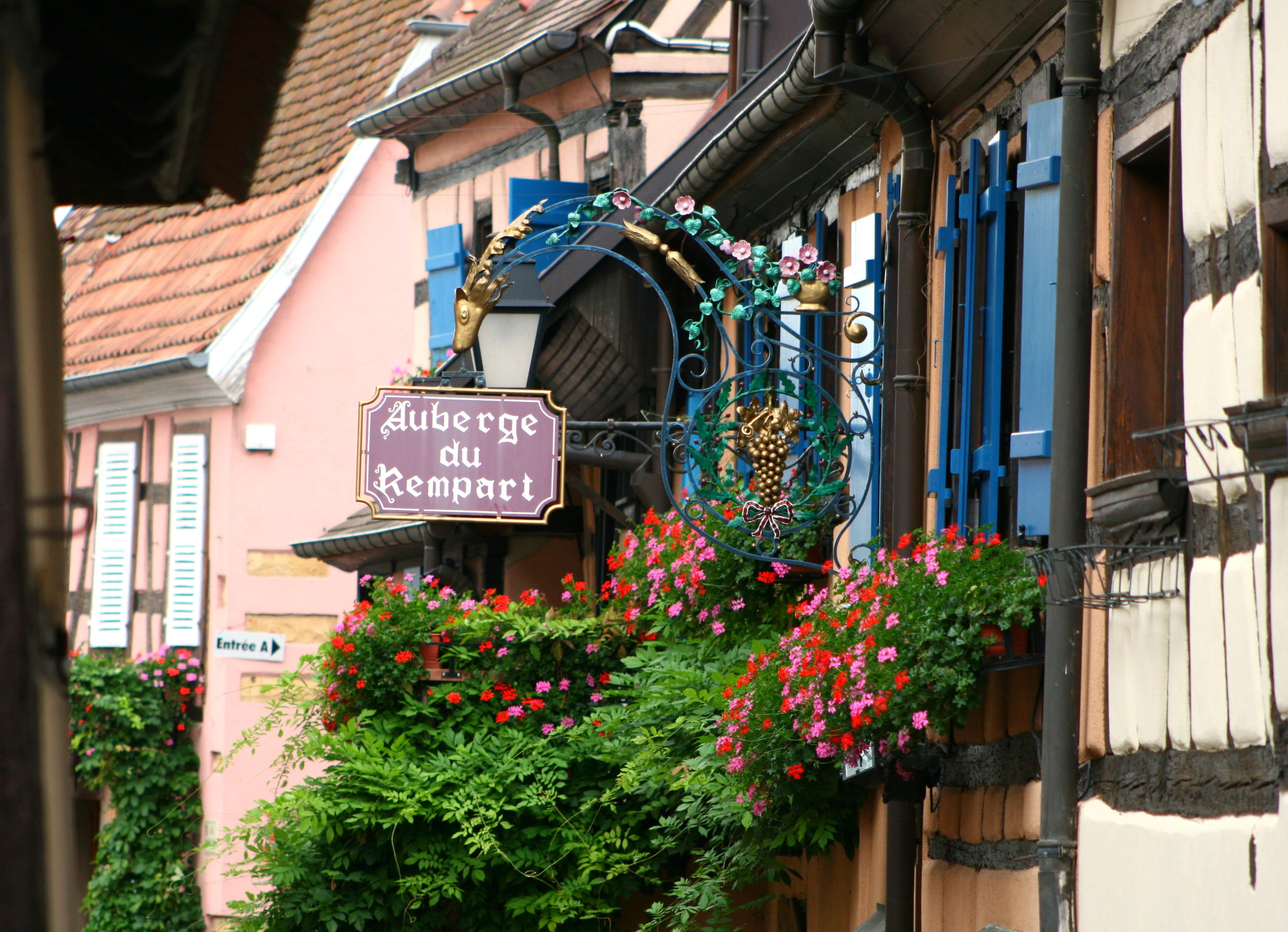 eguisheim, house, built structure, information, building exterior, fachwerkhäuser, plant, truss, architecture, building, communication, city, flowering plant, HD Wallpaper
