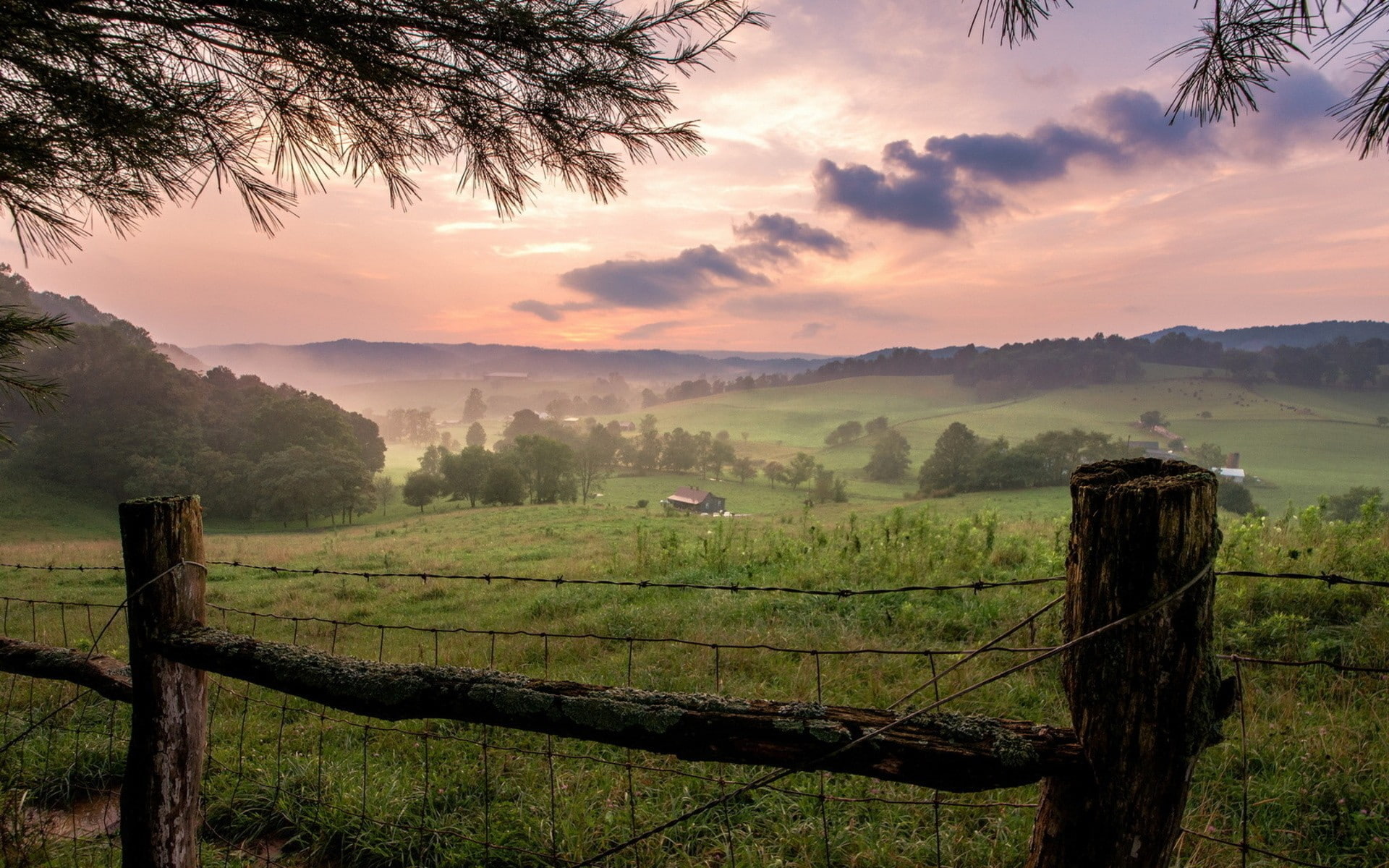 fence, grass, wire, 1080P, barb, hd, nature, landscape, HD Wallpaper