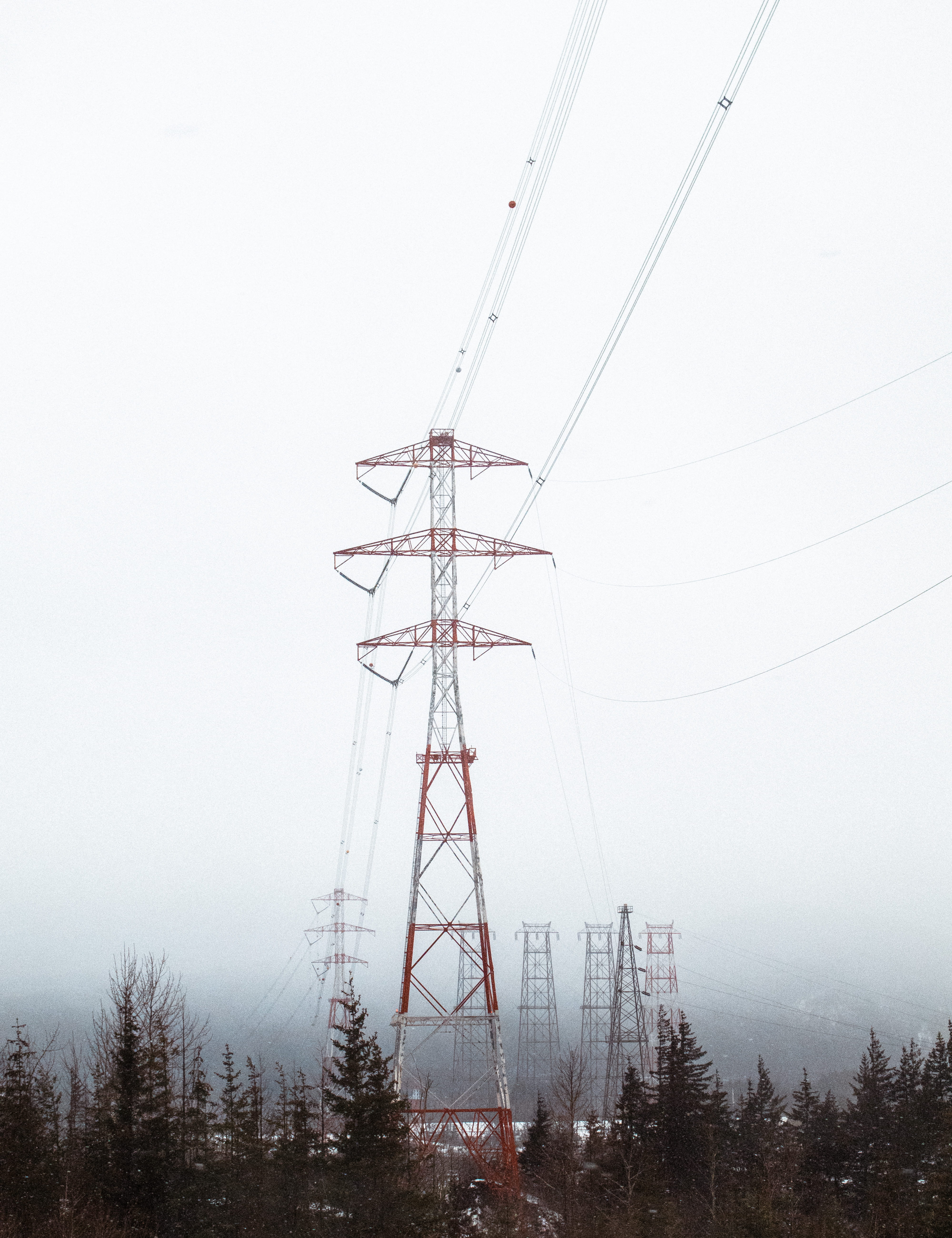 nature, pylon, 5K, power Line, no people, power, communication, tree, trees, sky, fog, electric, cable, plant, Stand Out, surrounded, steel, electricity, Phone HD Wallpaper