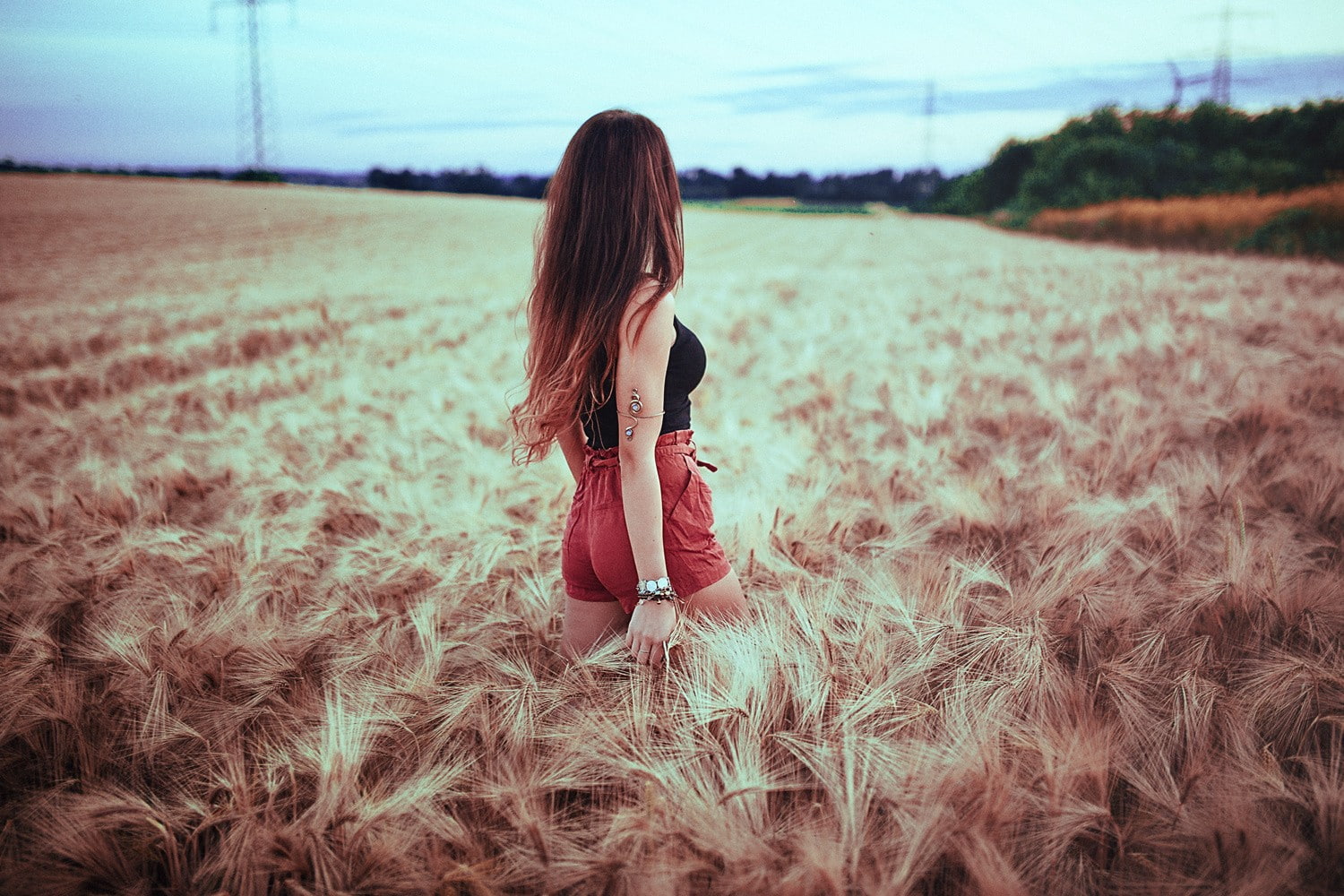 standing, brunette, field, one person, depth of field, lifestyles, young women, 720P, adult, young adult, hairstyle, grass, casual clothing, plant, crops, HD Wallpaper