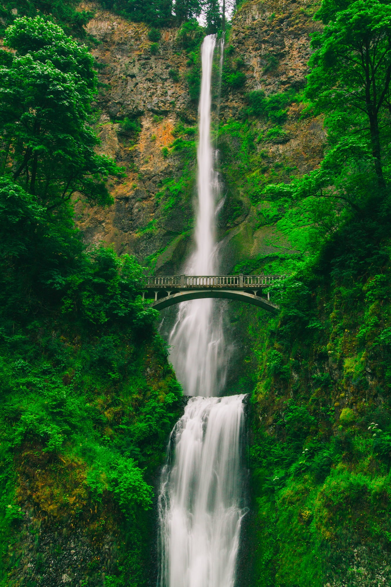 tree, waterfall, speed, outdoors, scenics - nature, long exposure, oregon, growth, blurred motion, bridge - man made structure, plant, nature, flowing water, Phone HD Wallpaper