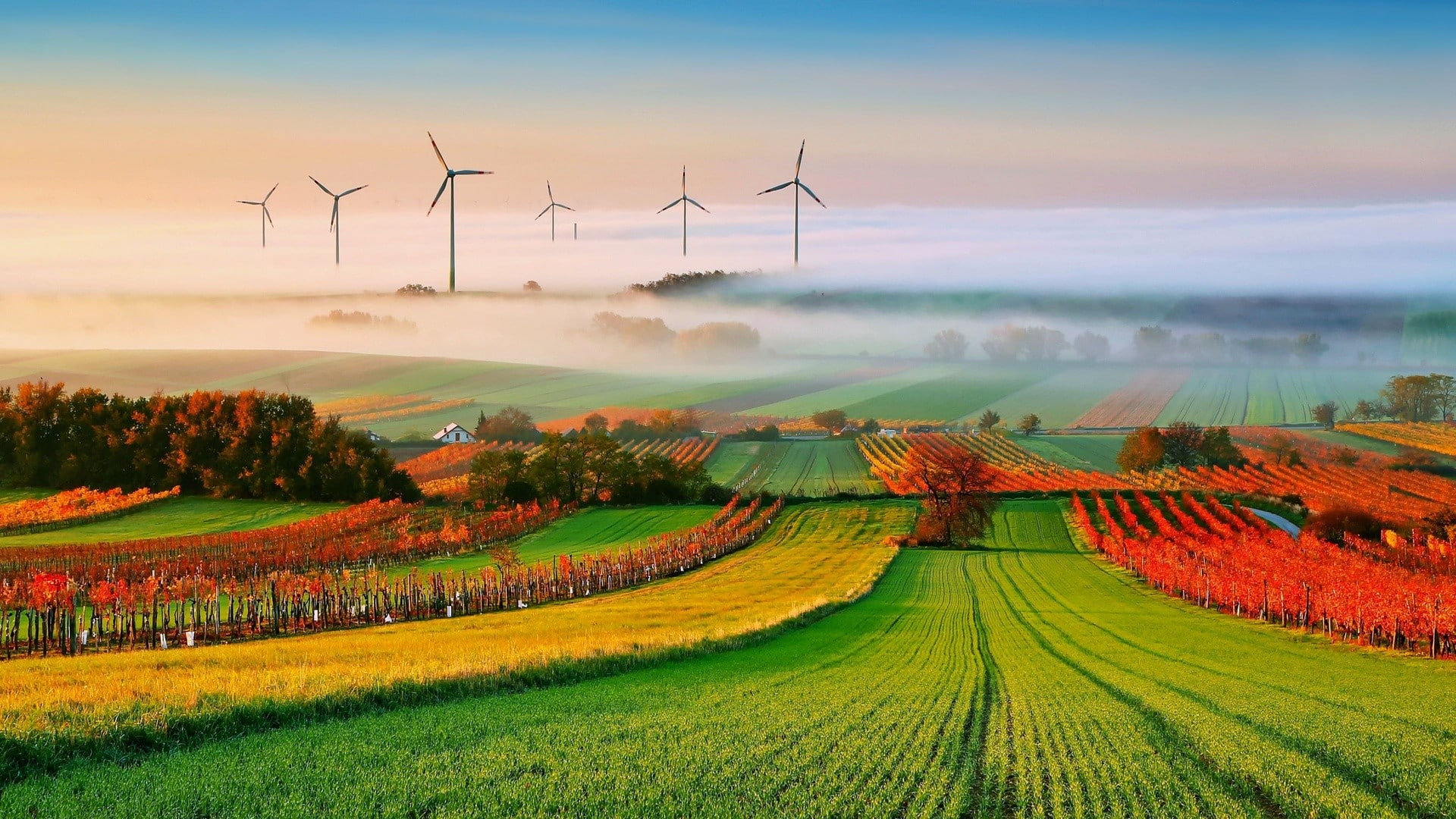 field, 1080P, landscape, hills, trees, wind turbine, vineyard, nature, clouds, house, mist, HD Wallpaper