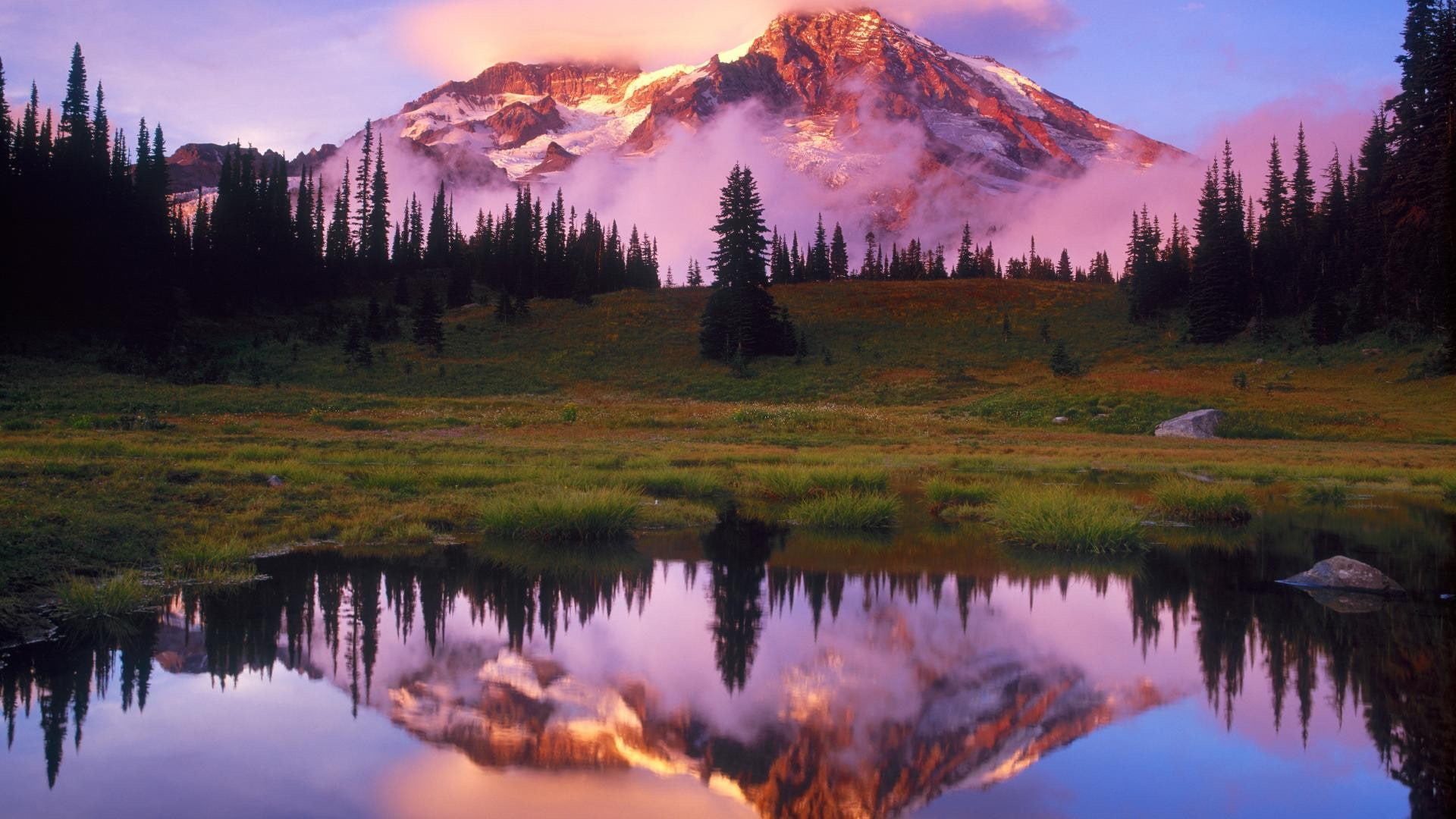 water, photography, lake, snowy peak, 1080P, calm, reflection, forest, mountains, clouds, nature, landscape, field, pine trees, trees, HD Wallpaper