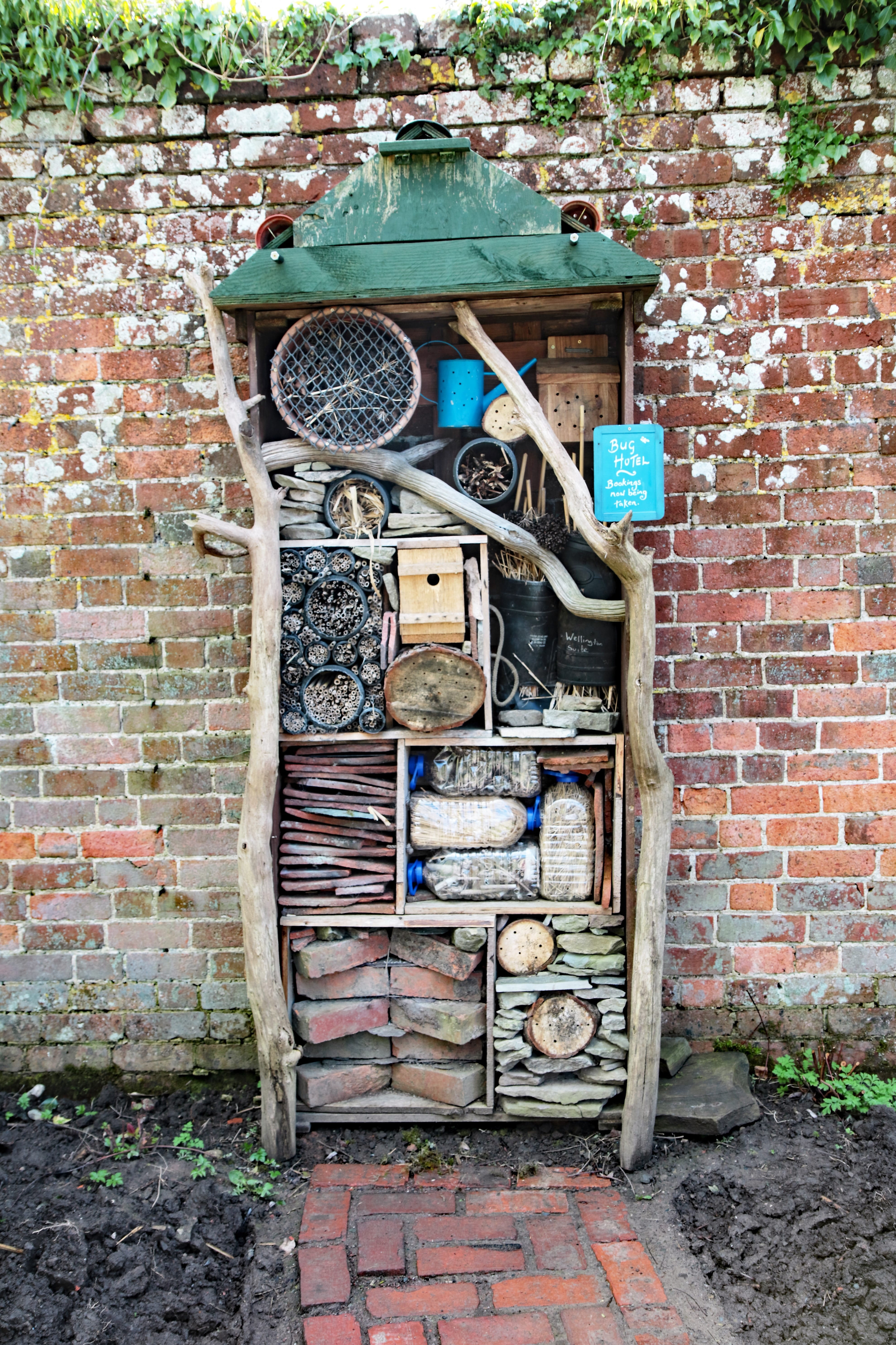 day, natural, building exterior, House, damaged, tree, old, container, outdoors, built structure, garbage, fuse box, wild, wildlife, run-down, ecological, Phone HD Wallpaper