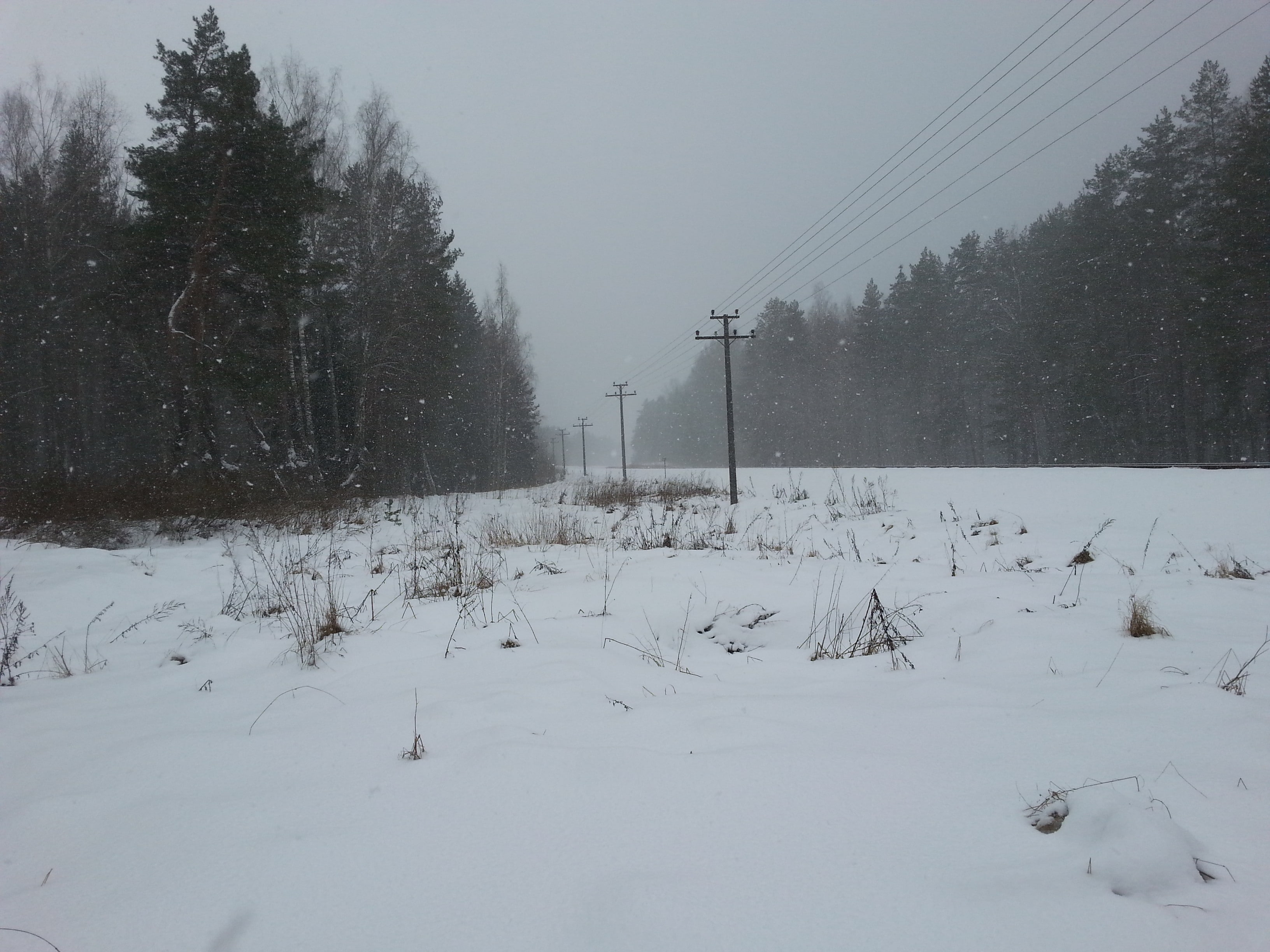 2K, snow, winter, power lines, forest, HD Wallpaper