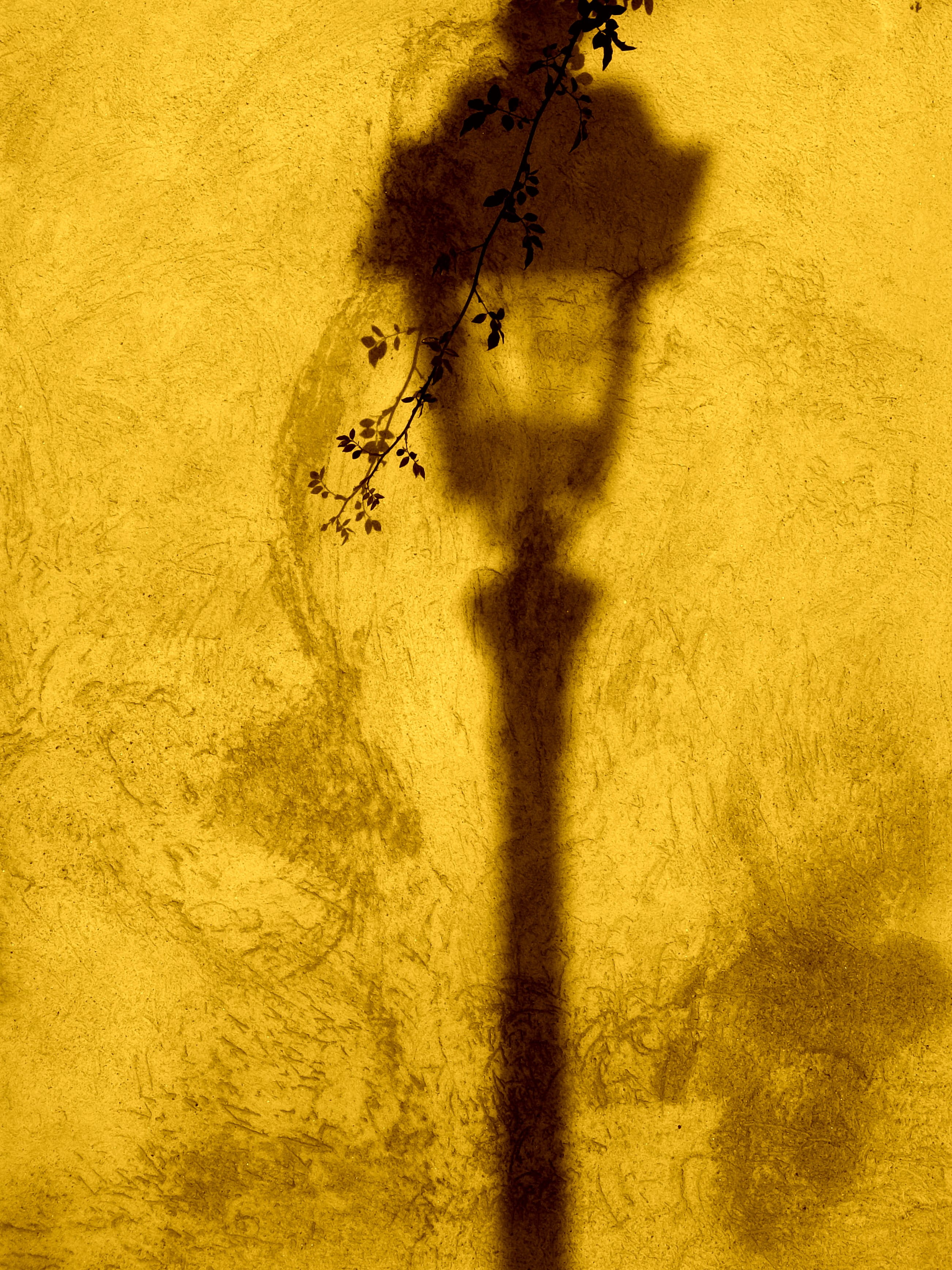 texture, 2K, mural, animal, yellow, asphalt, dirty, post, wall, old, abstract, wall - building feature, plant, full frame, dirt, concrete, stained, light, Phone HD Wallpaper