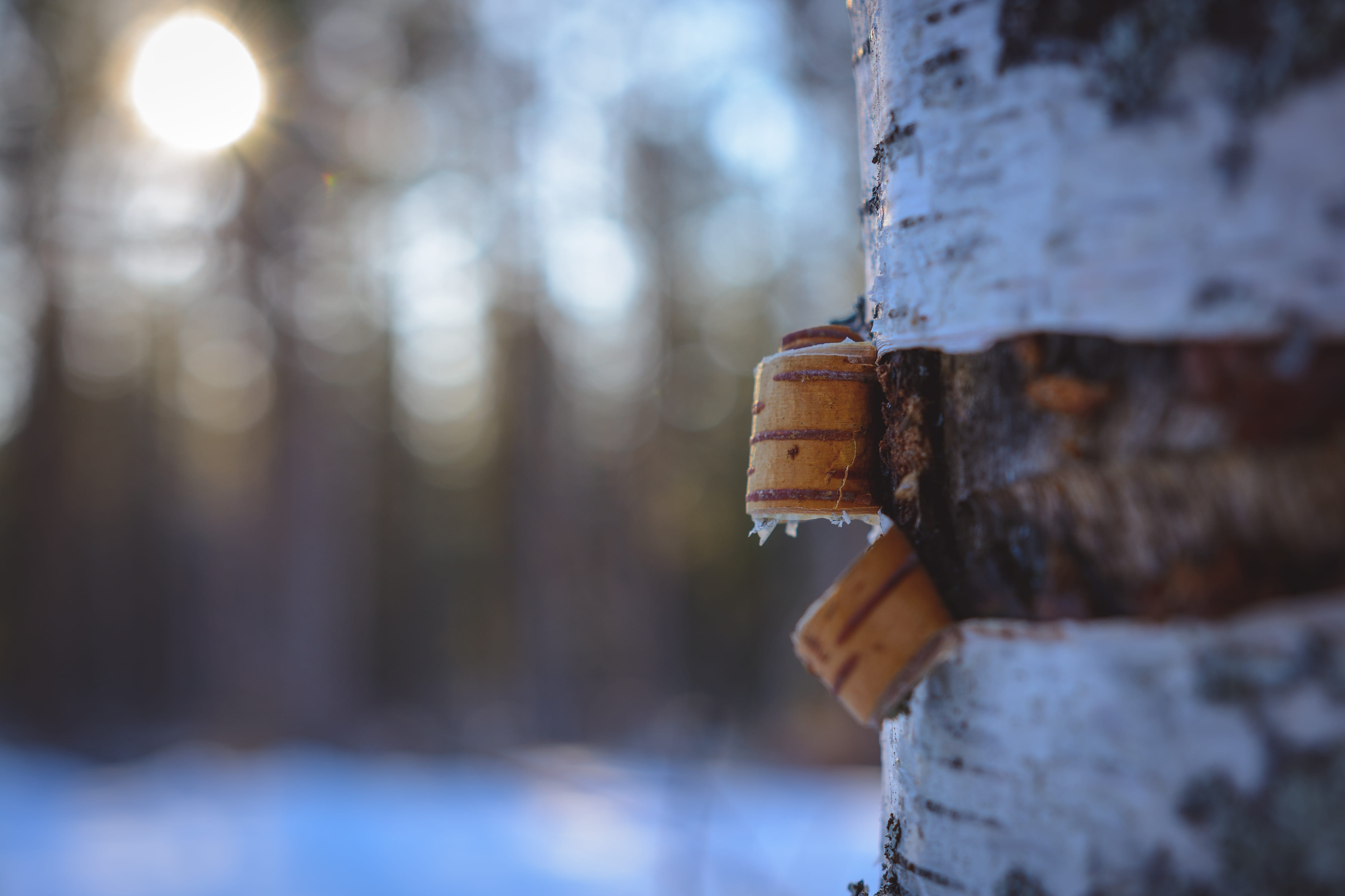 selective focus, lamp post, car mirror, no people, wood - material, trunk, 4K, rust, hydrant, cold temperature, barbed wire, spiral, outdoors, steel, focus on foreground, HD Wallpaper