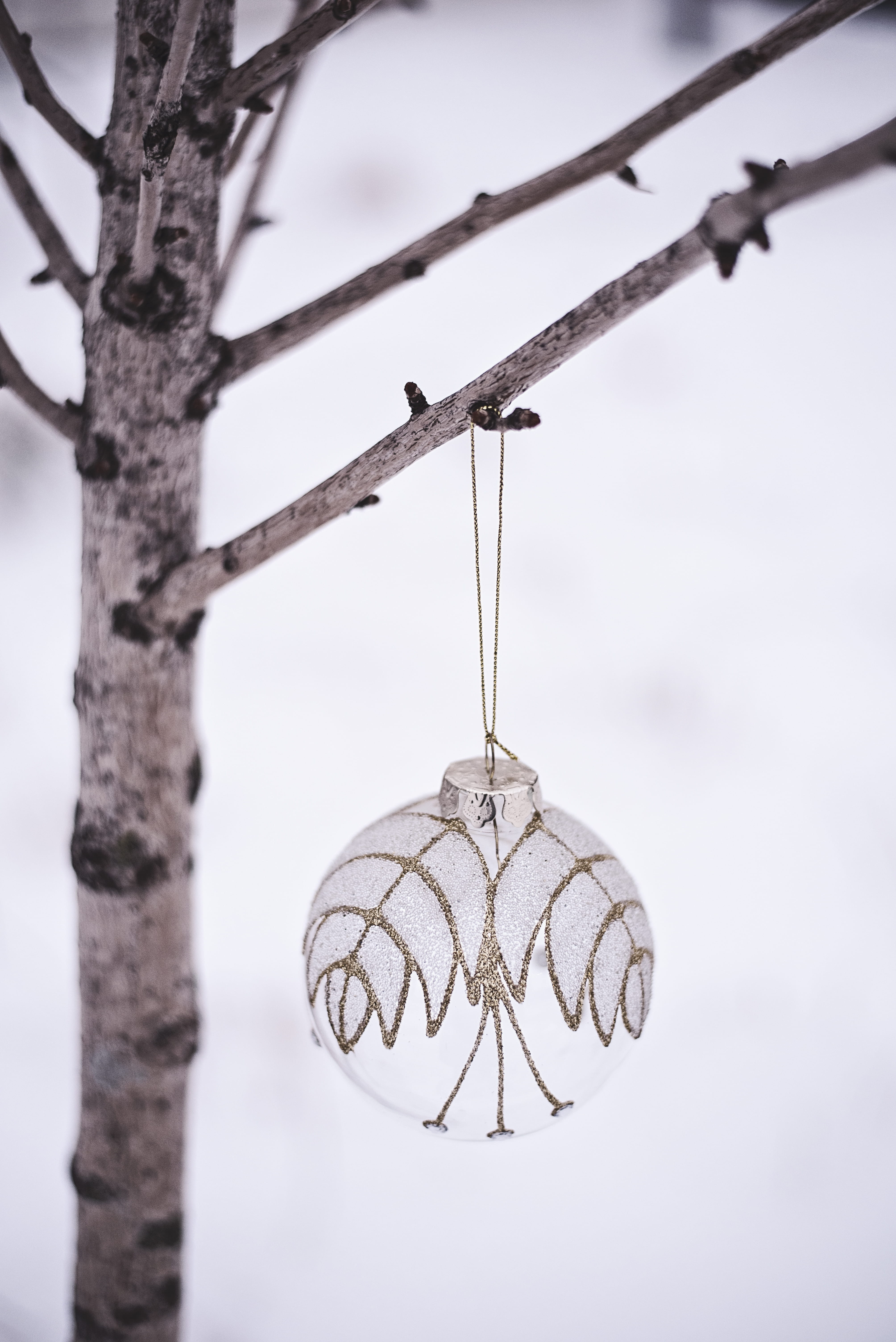 plant, winter, shape, close-up, cold temperature, rust, 5K, hanging, bauble, sphere, light fixture, crystal, nature, lampshade, fir, christmas, selective focus, Phone HD Wallpaper