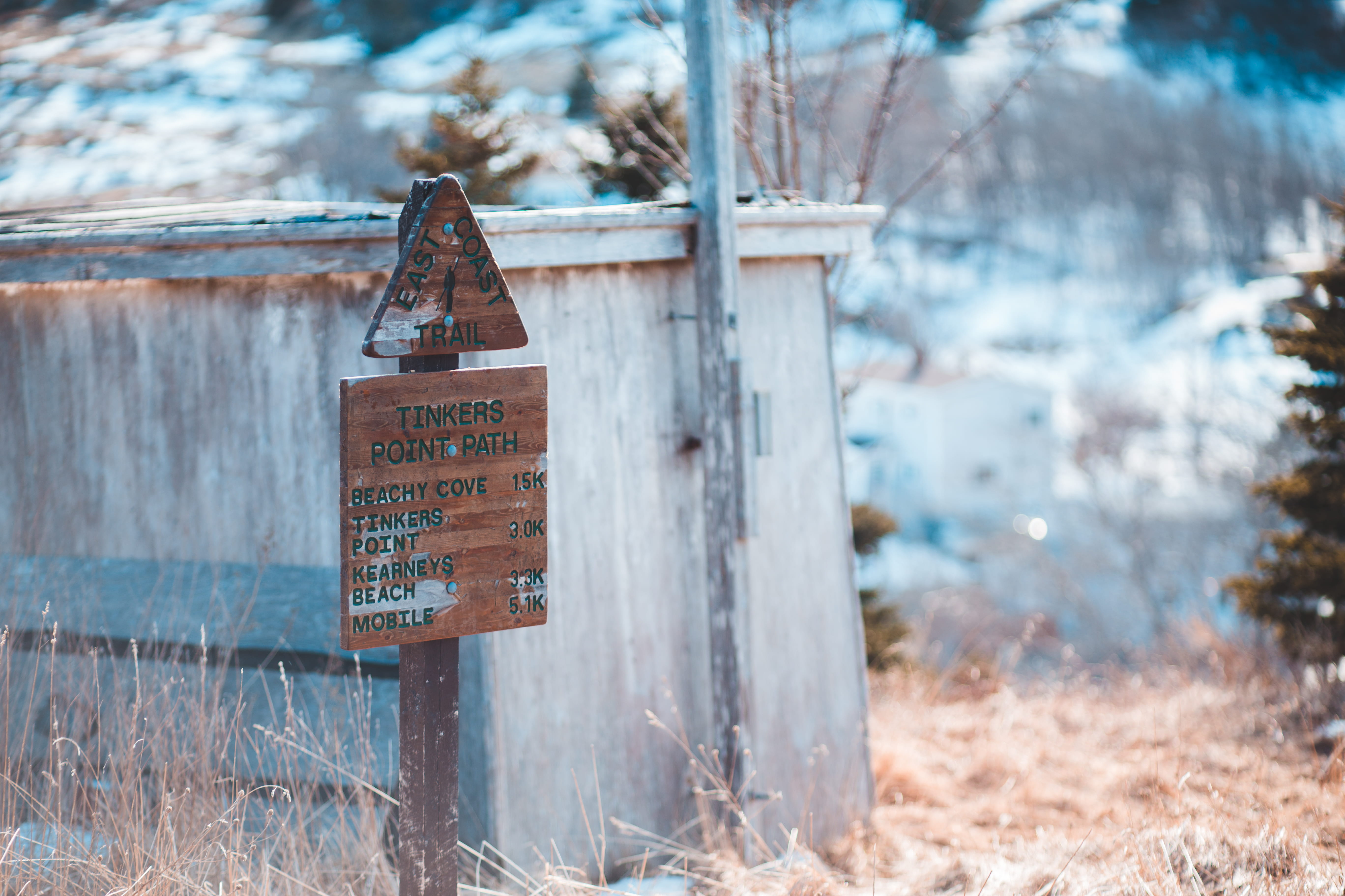no people, sign, fir, wooden, signage, nature, symbol, wildlife, focus on foreground, elk, field, brown, wood - material, tree, ice, western script, banister, HD Wallpaper