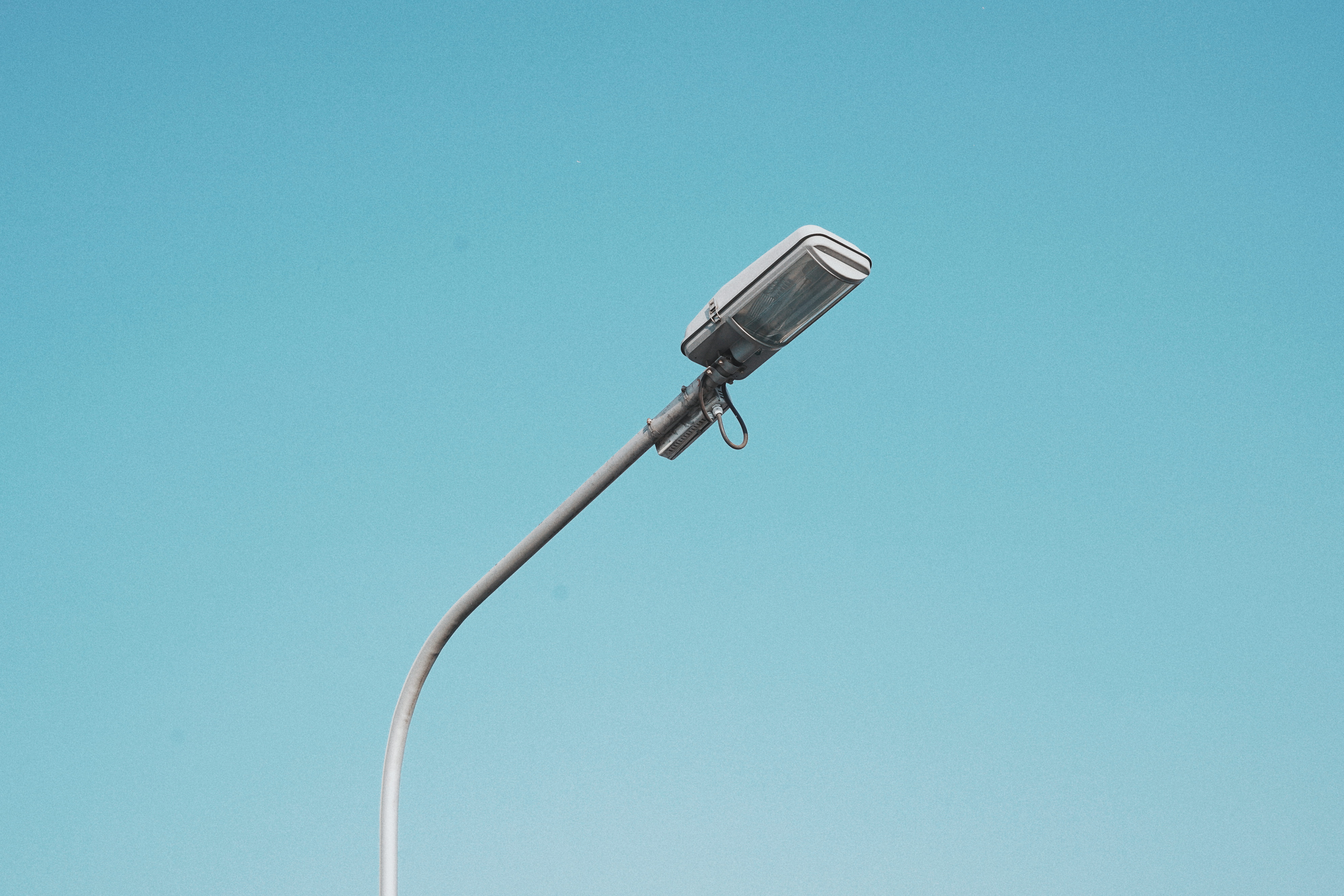 siding, technology, 8K, bird feeder, noise, day, bird, wireless technology, lamp, nature, streetlight, led, bracket, musical instrument, street light, HD Wallpaper
