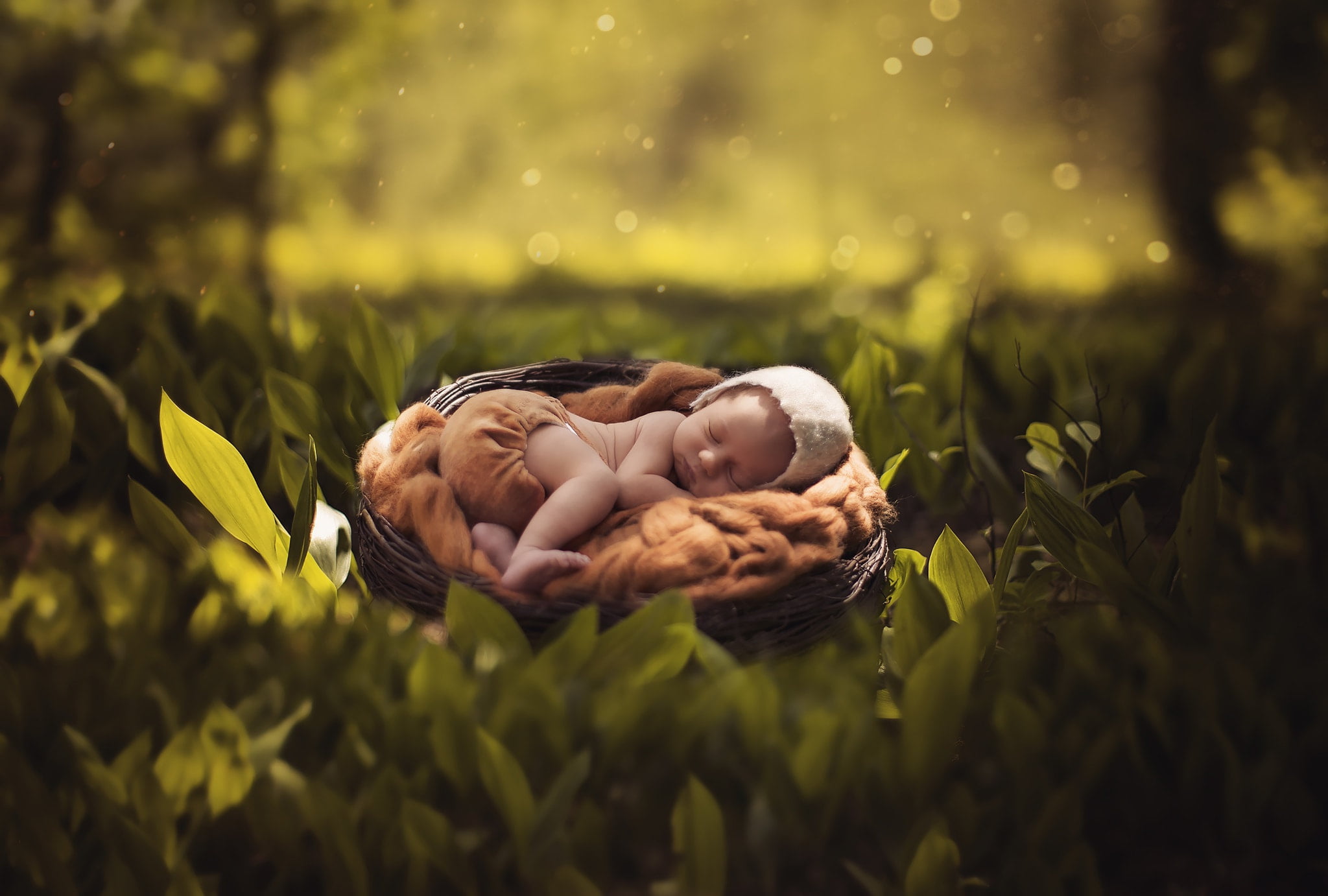 cap, pants, ann podsiedlik, baby, leaves, nature, bokeh, socket, summer, sleep, 1080P, child, HD Wallpaper