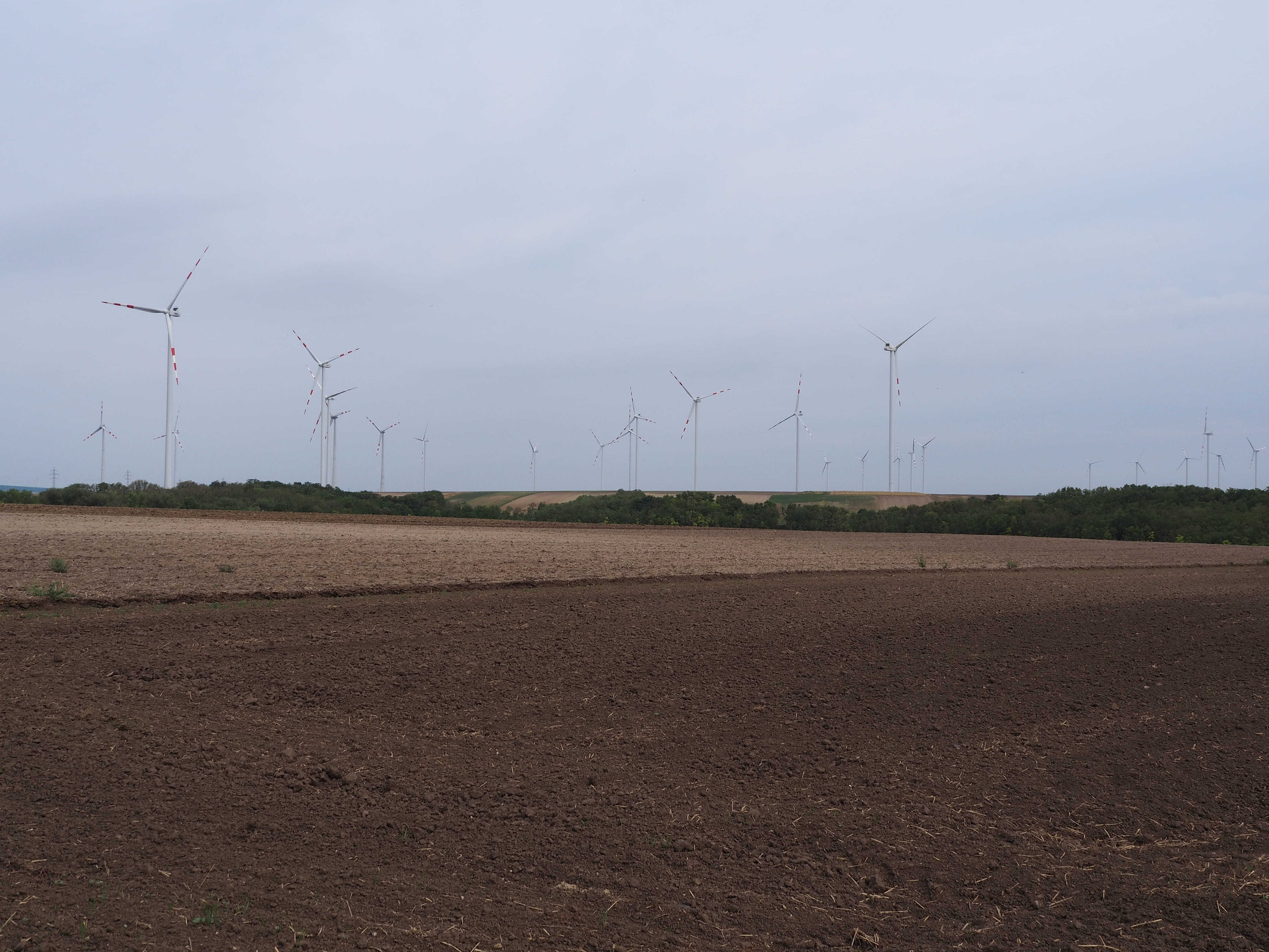 sustainable resources, energy revolution, beauty in nature, blue, field, sky, electricity, technology, windmill, no people, agriculture, power supply, turbine, HD Wallpaper
