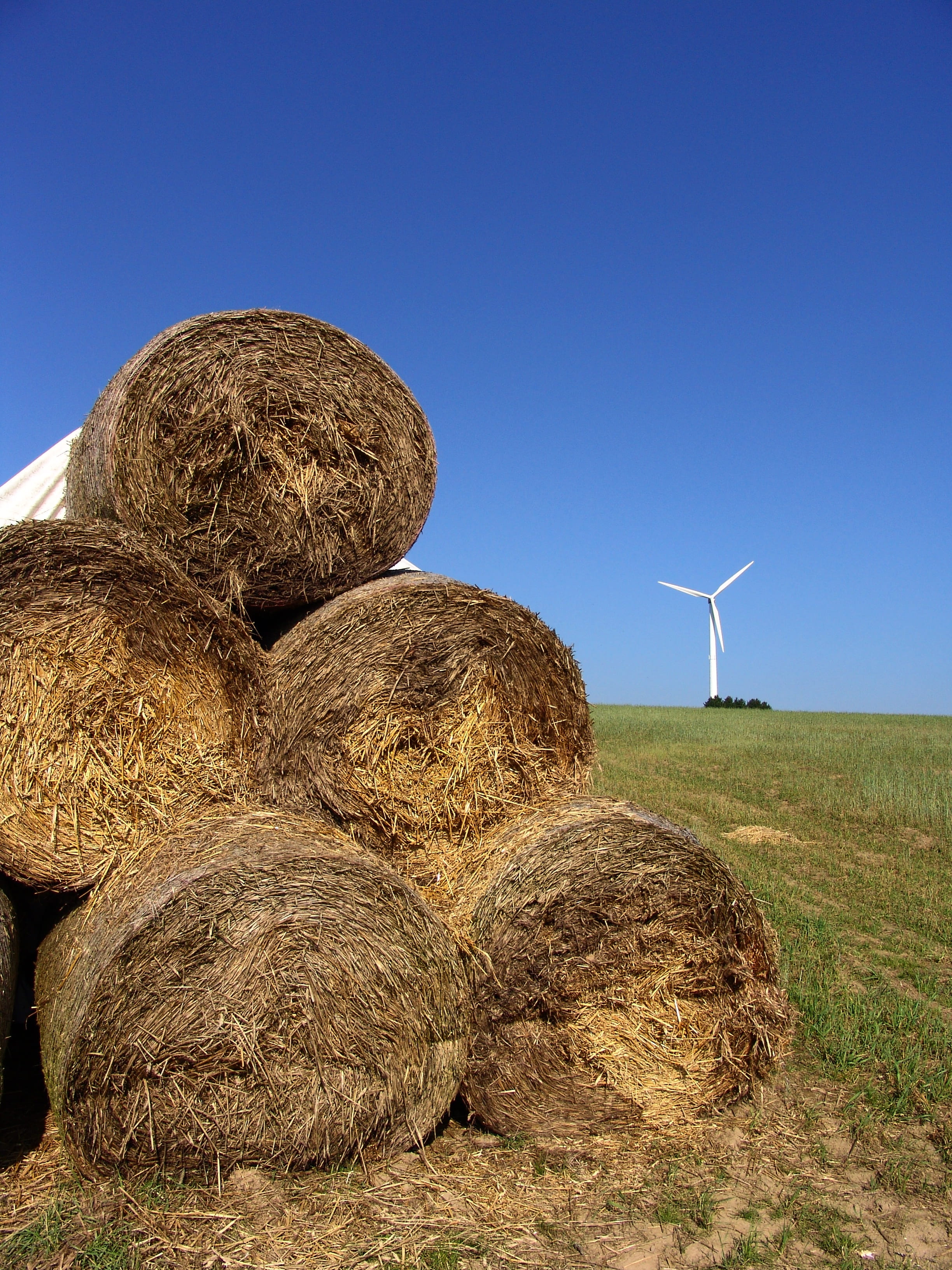 environment, hay, wind power, nature, sky, energy revolution, copy space, agriculture, Revolution, Straw, day, tranquility, farm, field, 2K, plant, bale, Phone HD Wallpaper
