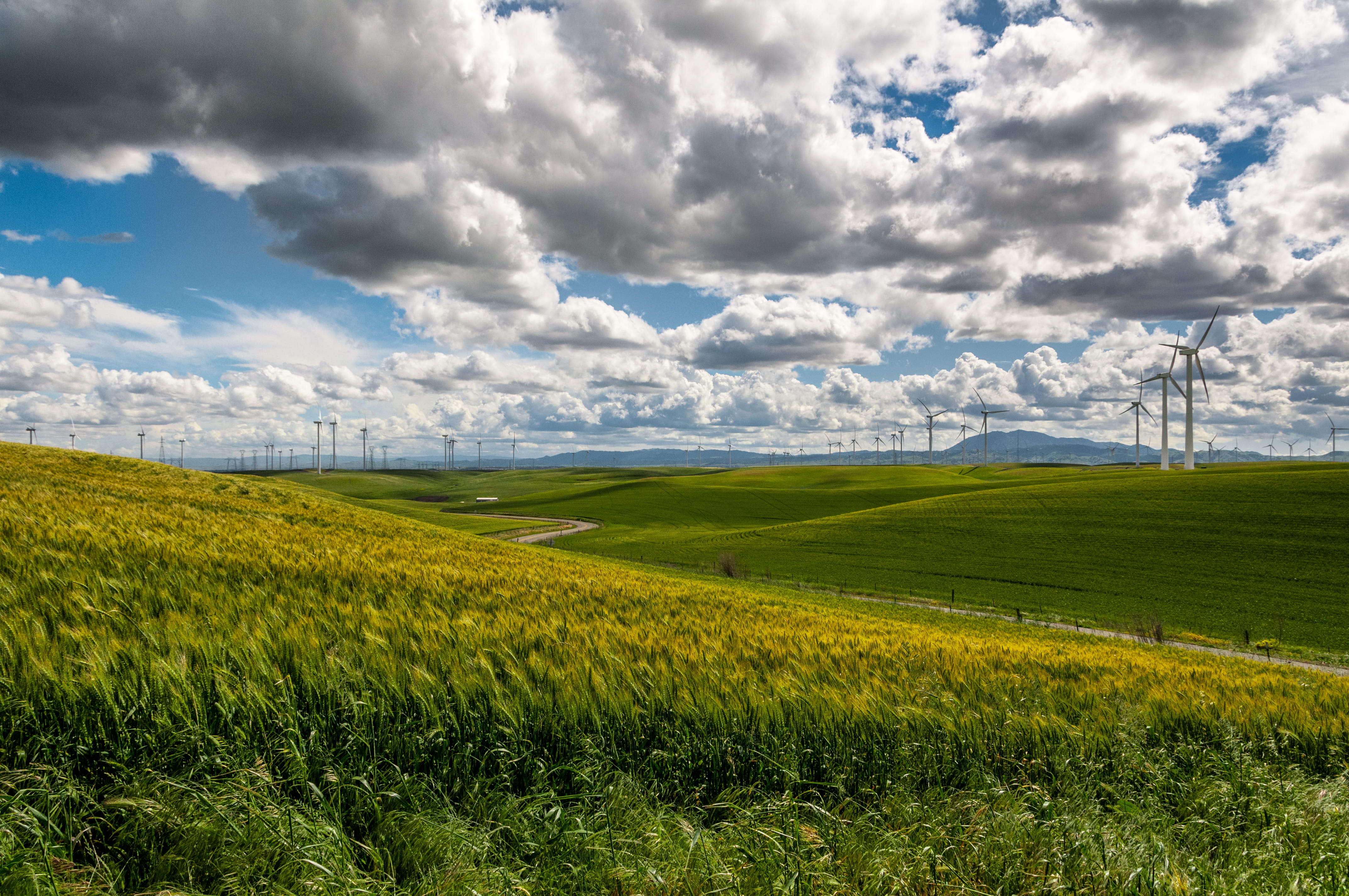 cereal, wind power, day, green energy, 4K, environment, farmland, eolien, field, land, windmill, sunny day, plant, blue, rural scene, hill, green color, HD Wallpaper