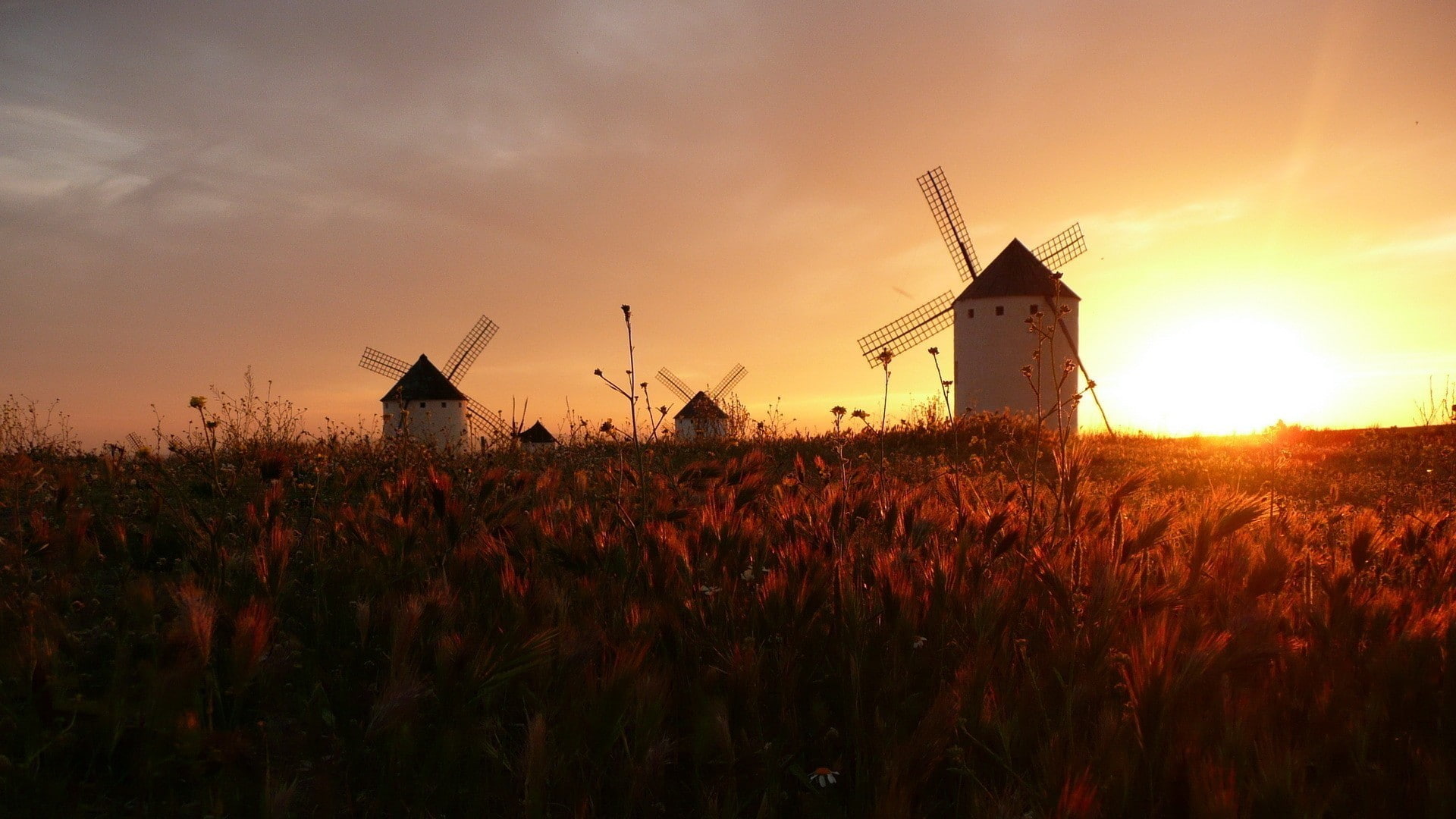 field, sunset, 1080P, windmill, HD Wallpaper
