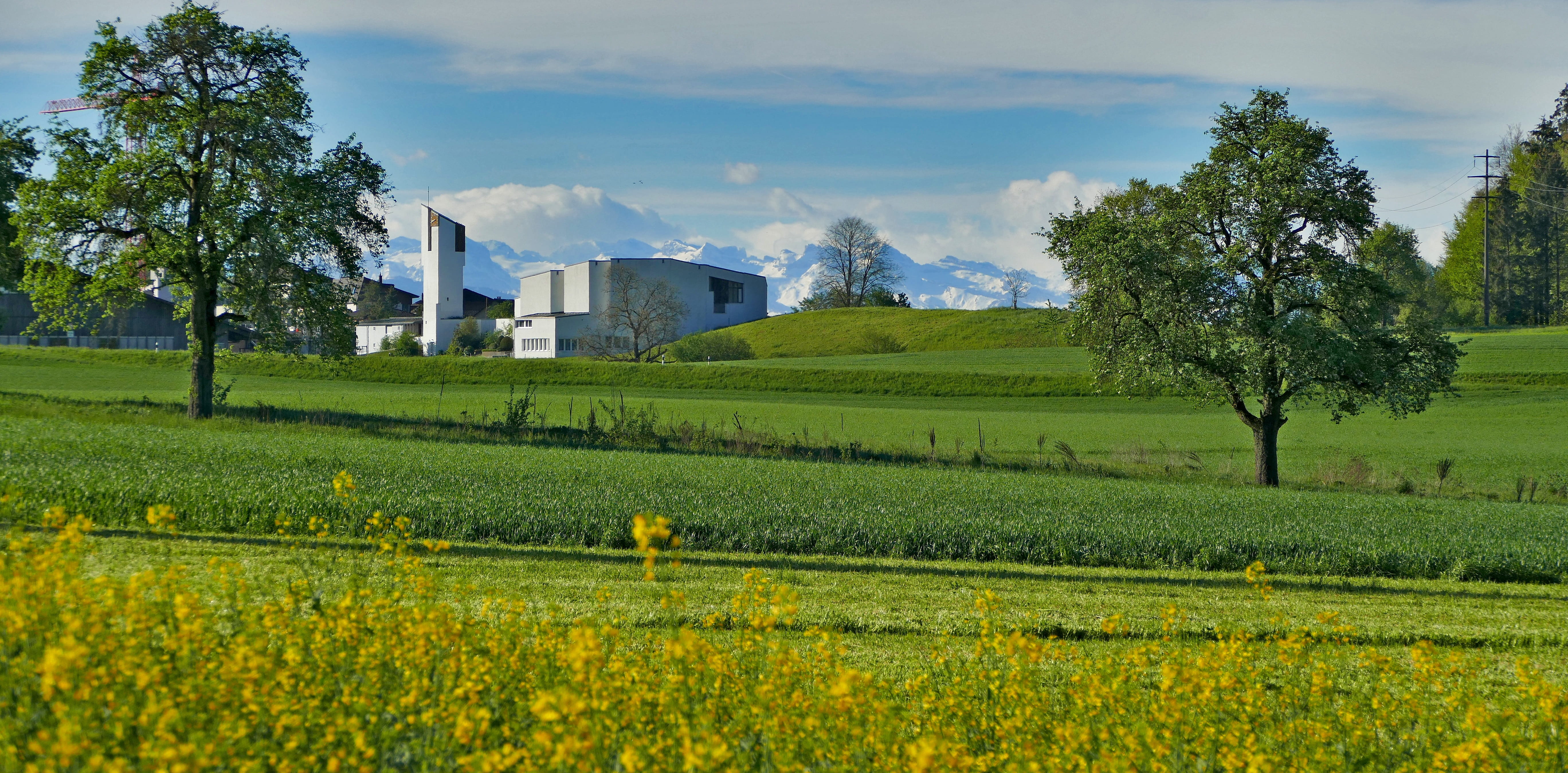 mountain range, oilseed rape, built structure, no people, scenics - nature, field, plant, shrubs, switzerland, aargau, building exterior, nature, church, HD Wallpaper