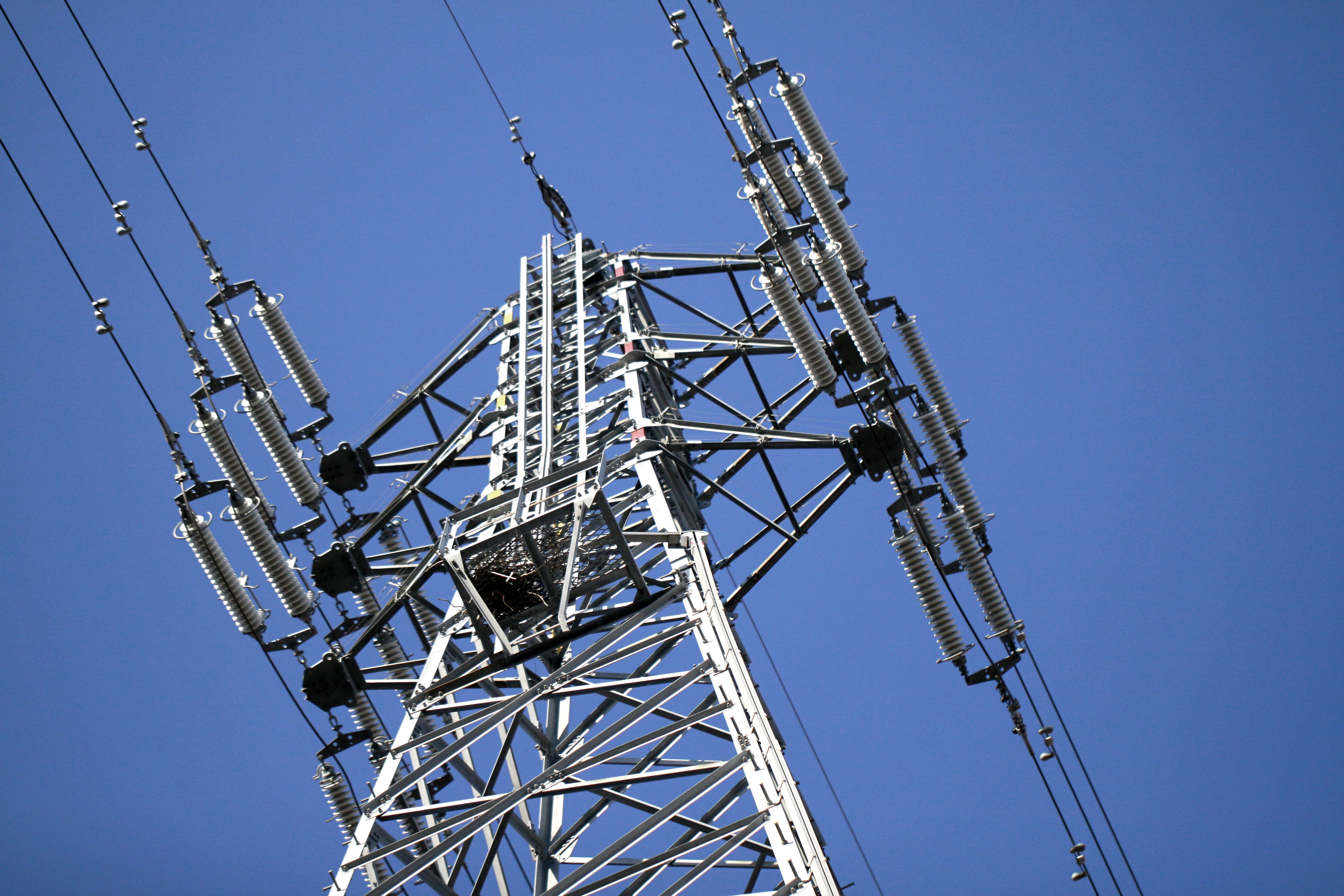 excitement, nature, fuel and power generation, power supply, alloy, steel frame, built structure, Power Line, low, sunny, blue, industrial equipment, transmission line tower, HD Wallpaper