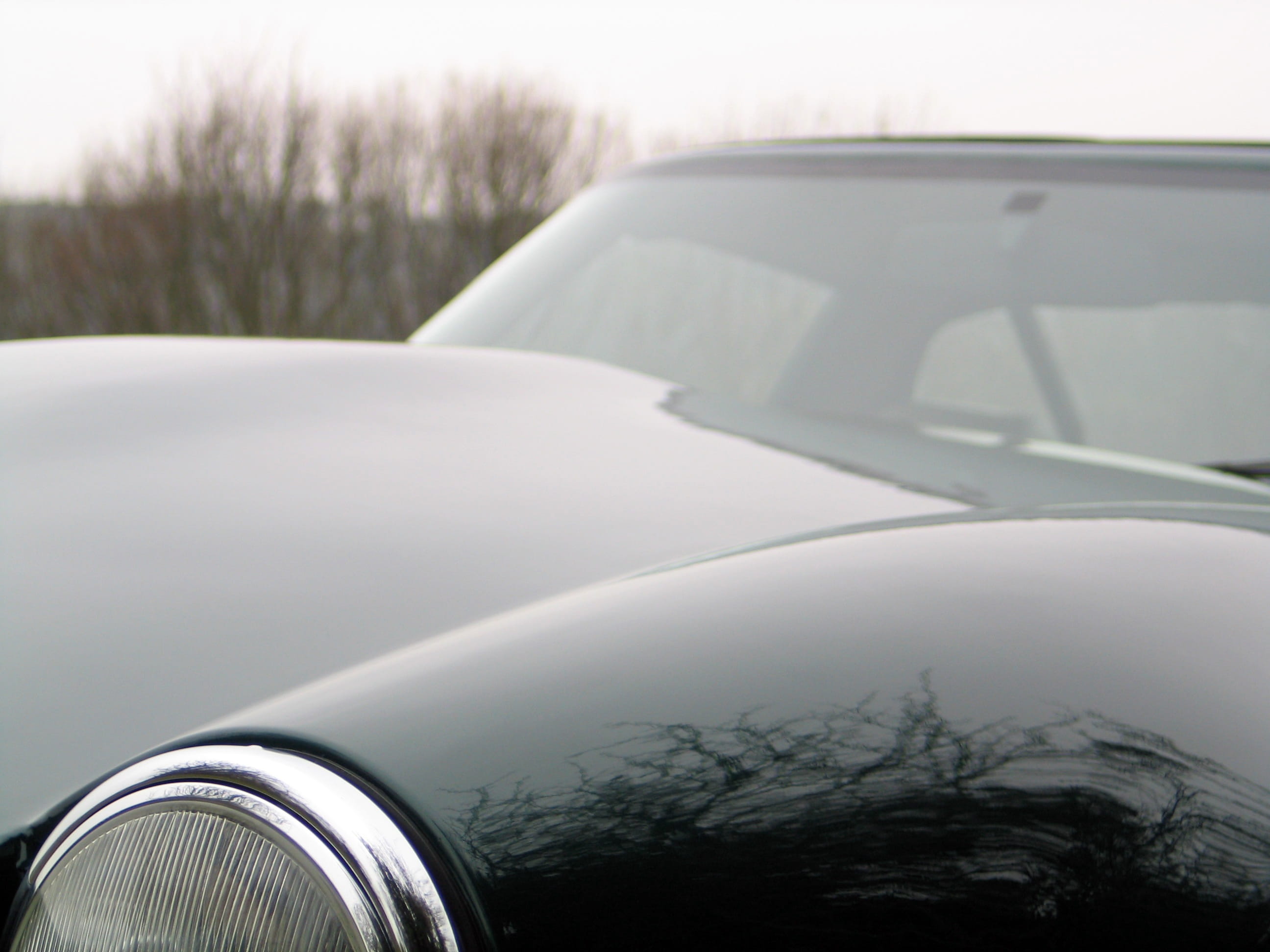 close-up, glamour, dream, beauty, mph, tvr, kmph, supercar, vehicle, windshield, tree, horsepower, speed, plant, window, transport, elegant, fast, lifestyle, HD Wallpaper