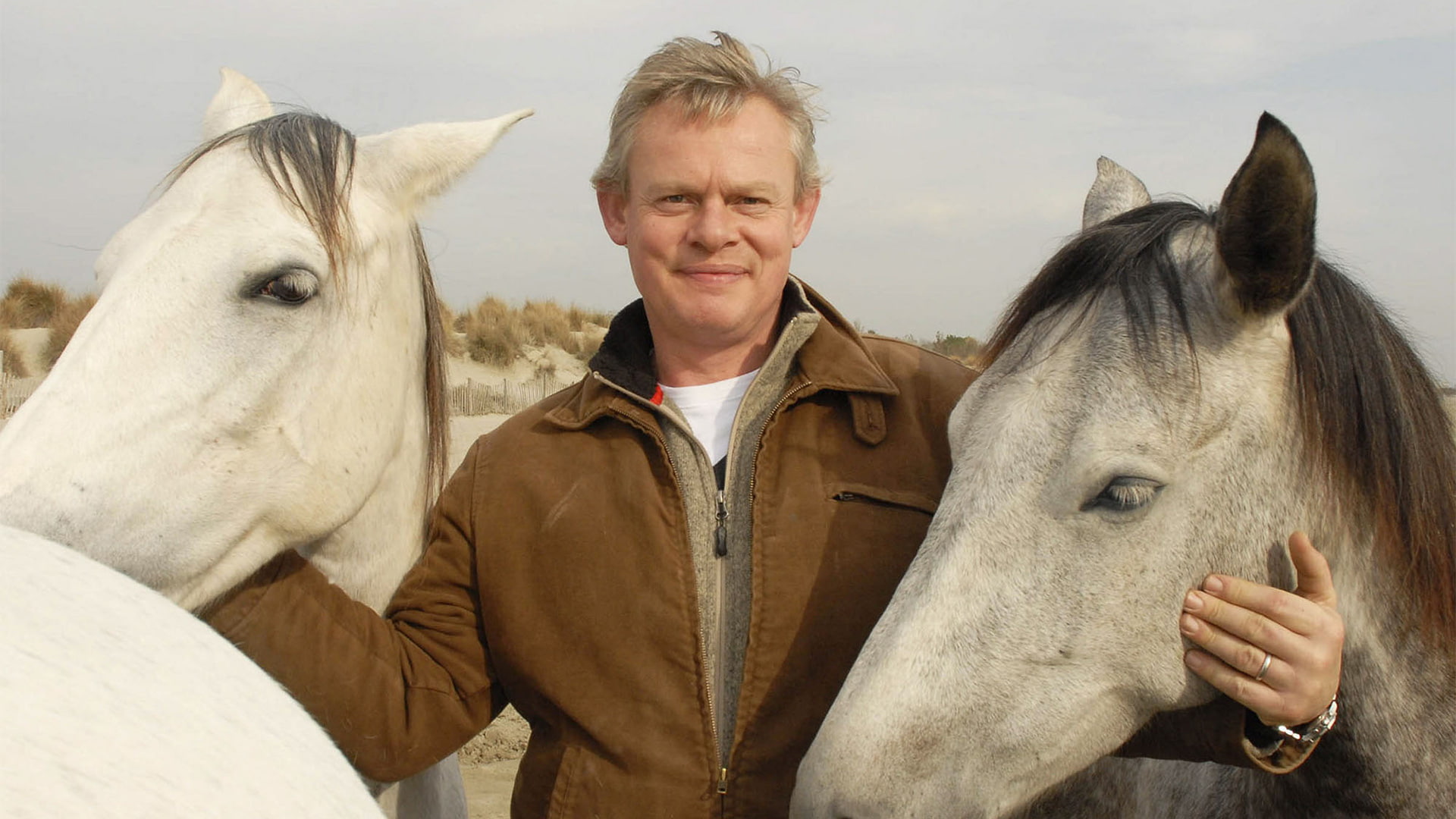 Horse, Animal, Martin Clunes: Horsepower, TV Show, 1080P, HD Wallpaper