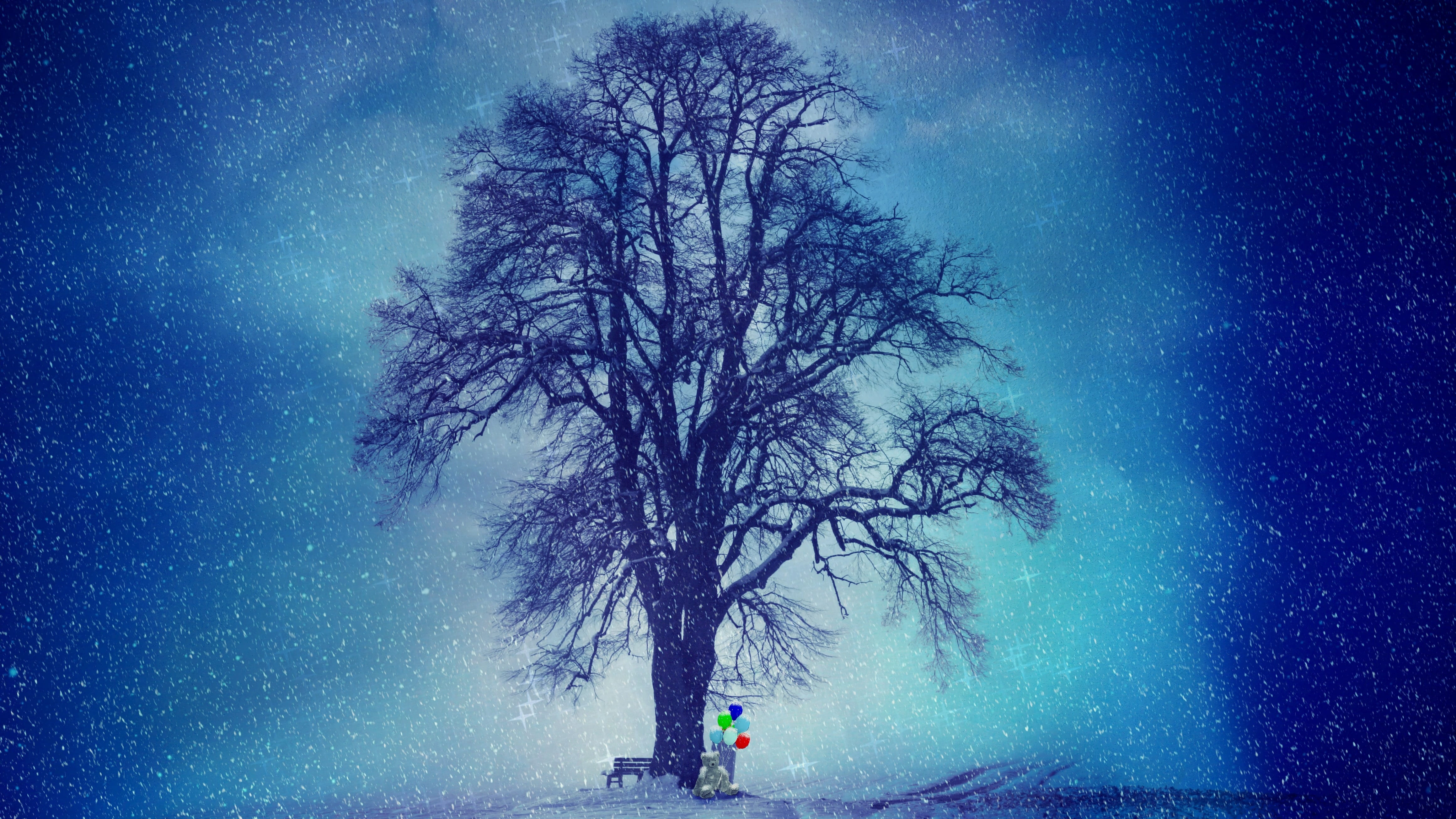 star - space, bench, beauty in nature, star, lonely, emotion, sky, environment, tranquil scene, plant, fantasy, exposed, astronomy, surreal, wintry, frost, HD Wallpaper