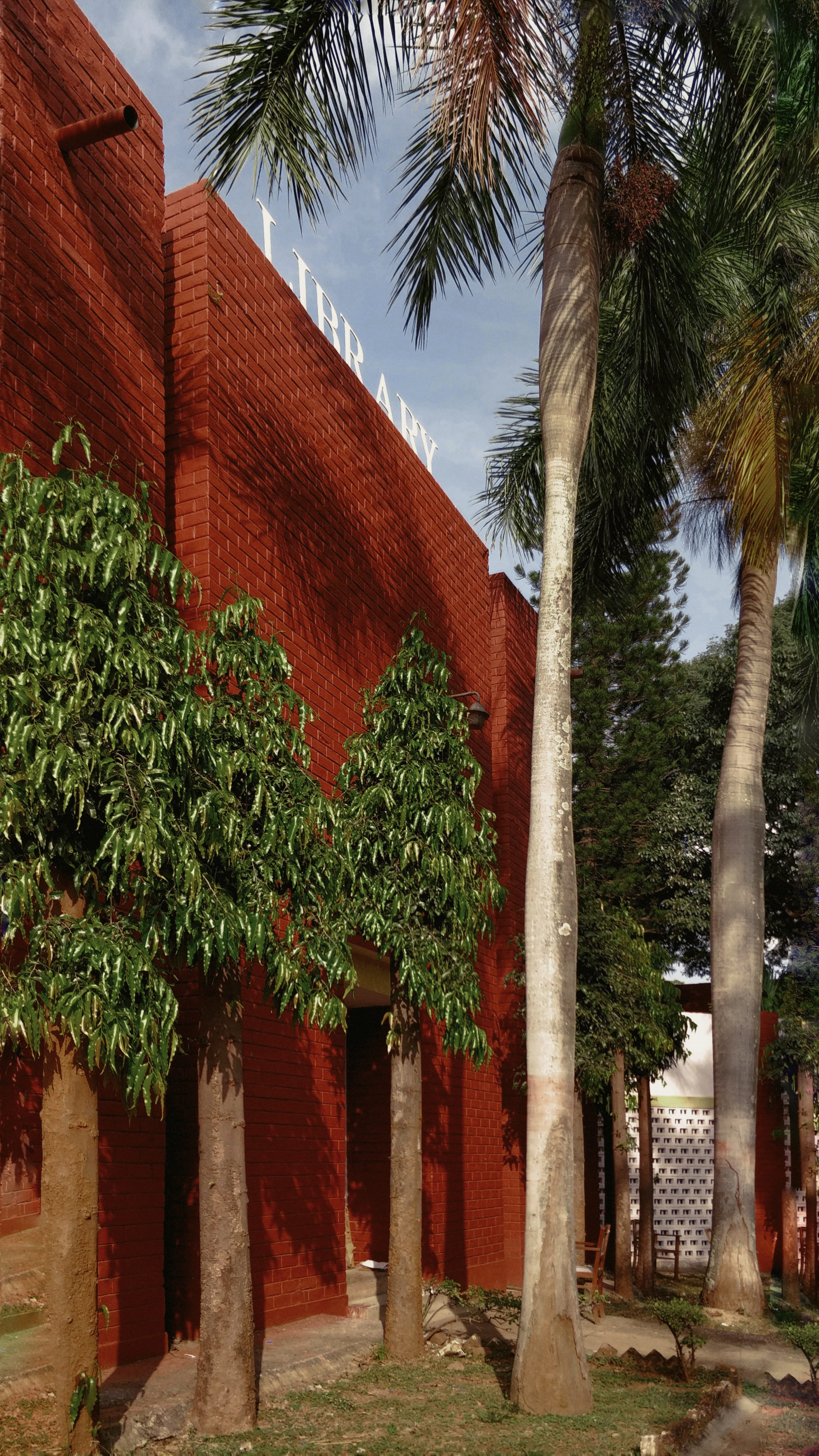 day, sky, trees, architectural column, built structure, bricks, library, structure, texture, coconut palm tree, plant, nature, growth, tree trunk, garden, Phone HD Wallpaper