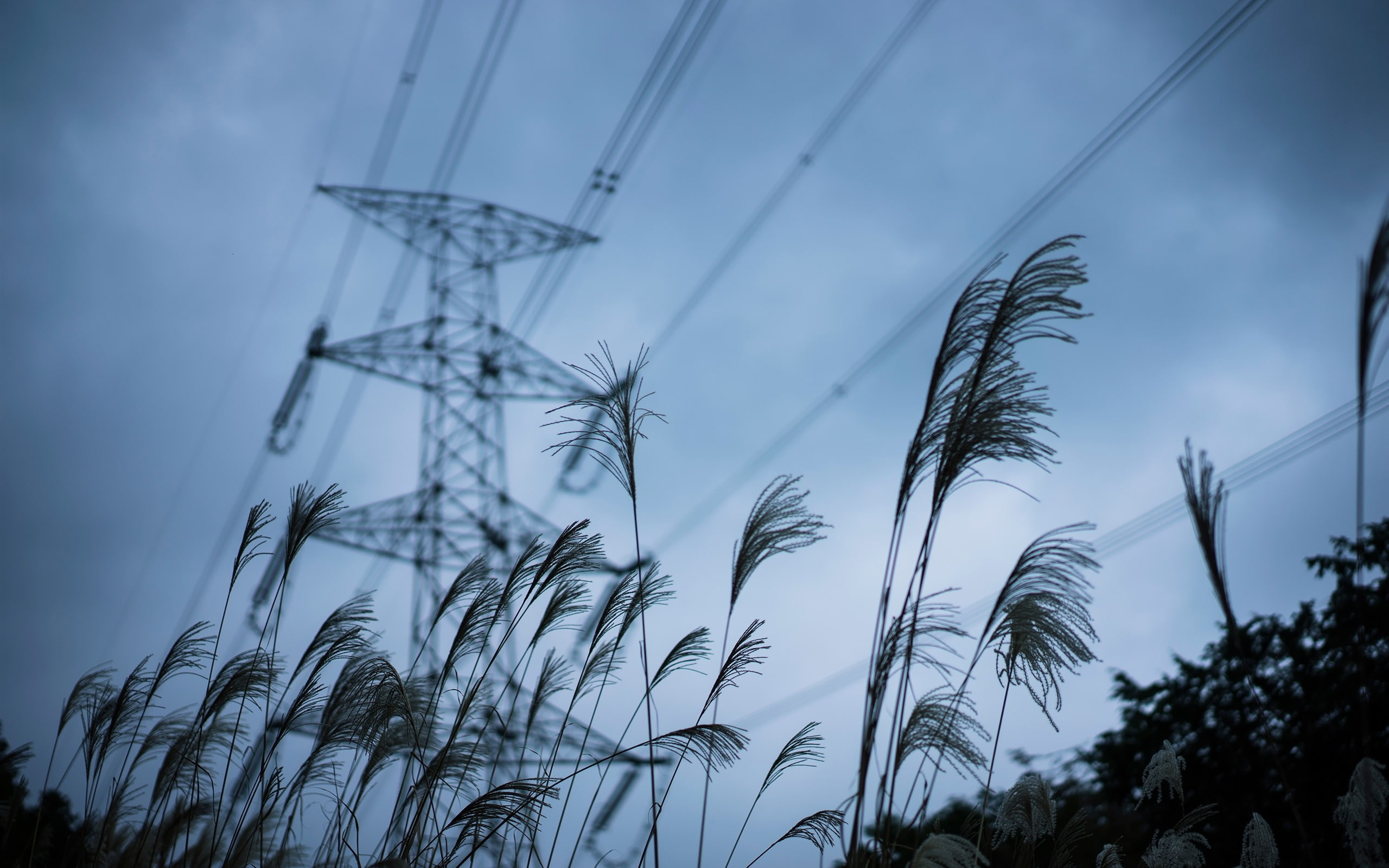 Dusk, gray, Sky, tower, Grass, line, 2K, Power, Lines, HD Wallpaper
