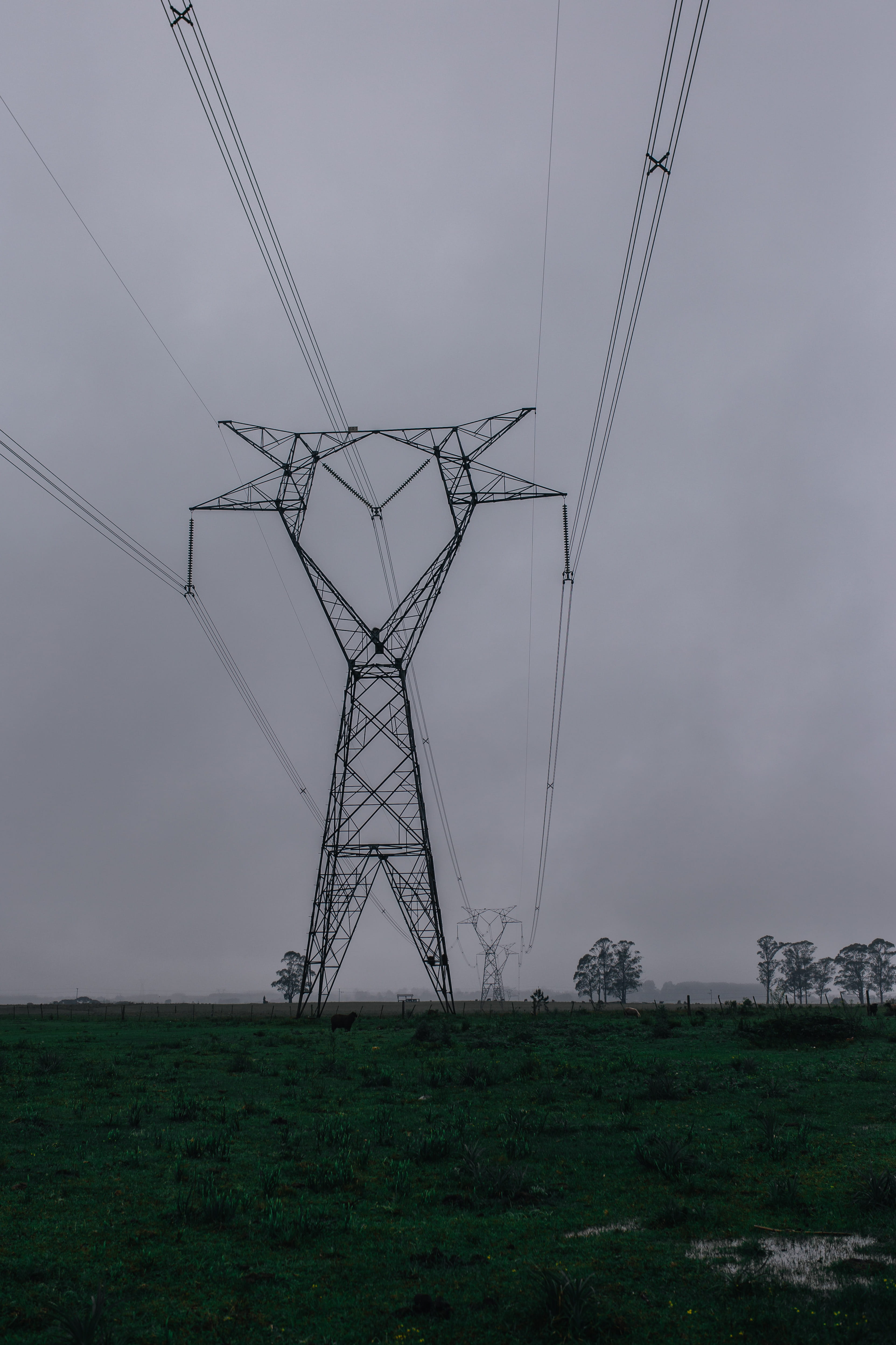 no people, environment, fuel and power generation, plant, low angle view, foggy, power, electricity, power lines, fog, technology, tower, sky, land, field, Phone HD Wallpaper