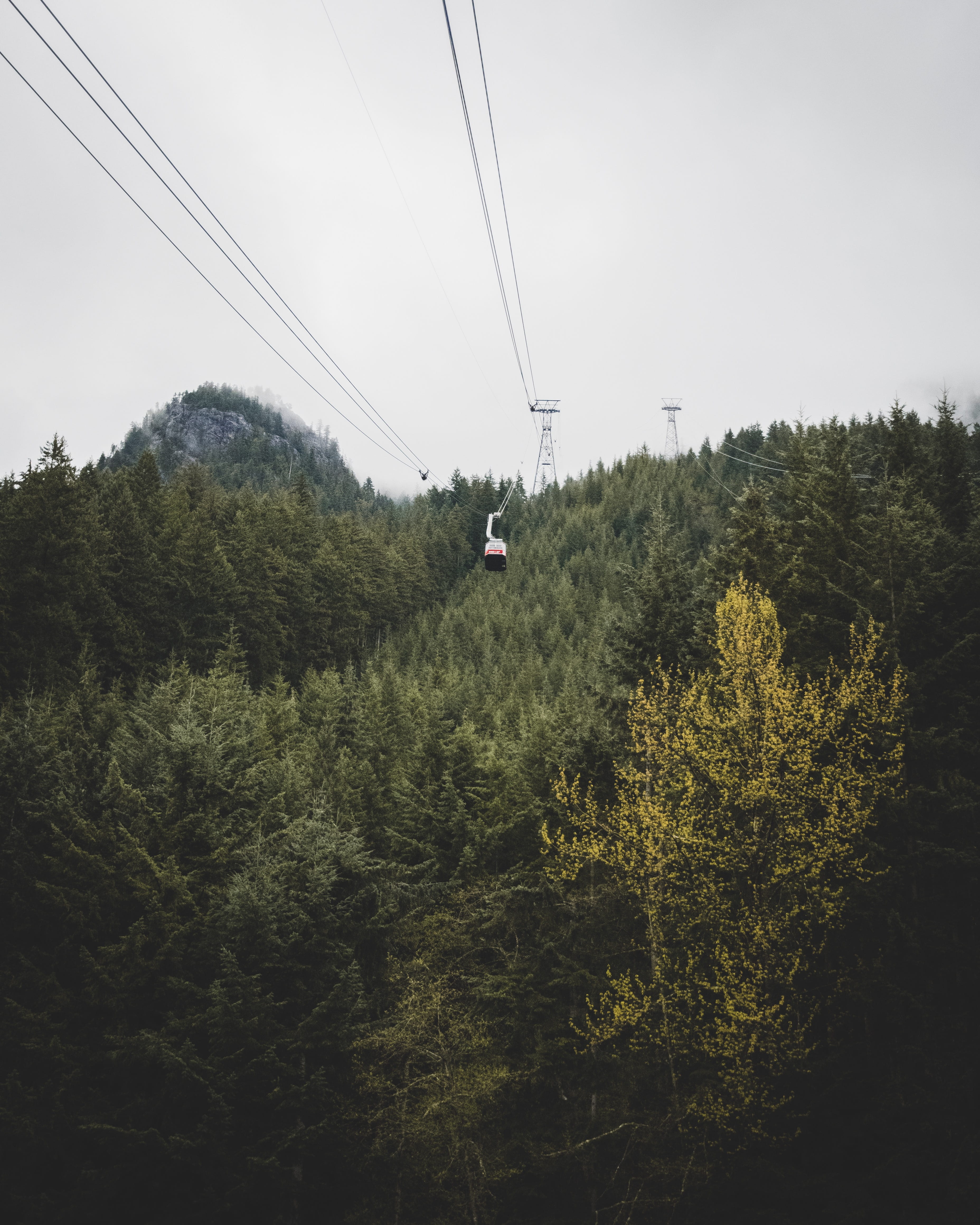rope, nature, transportation, growth, larch, green color, 4K, car, overhead cable car, pine, slope, fir, conifer, day, electricity, sky, plant, power line, Phone HD Wallpaper