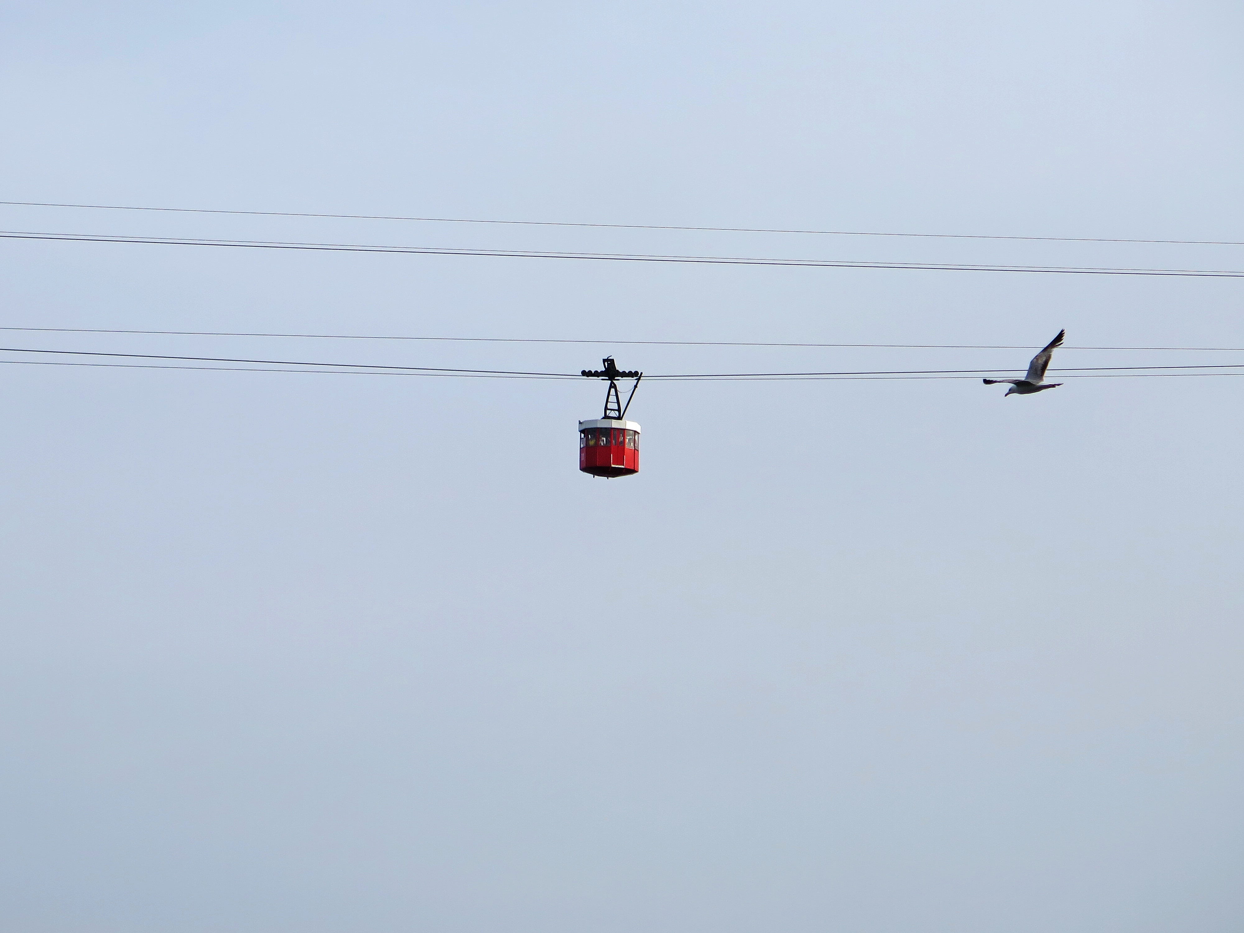 cable car, spain, overhead cable car, tourism, connection, bird, mediterranean, city, old, cable, mode of transportation, technology, day, transportation, HD Wallpaper