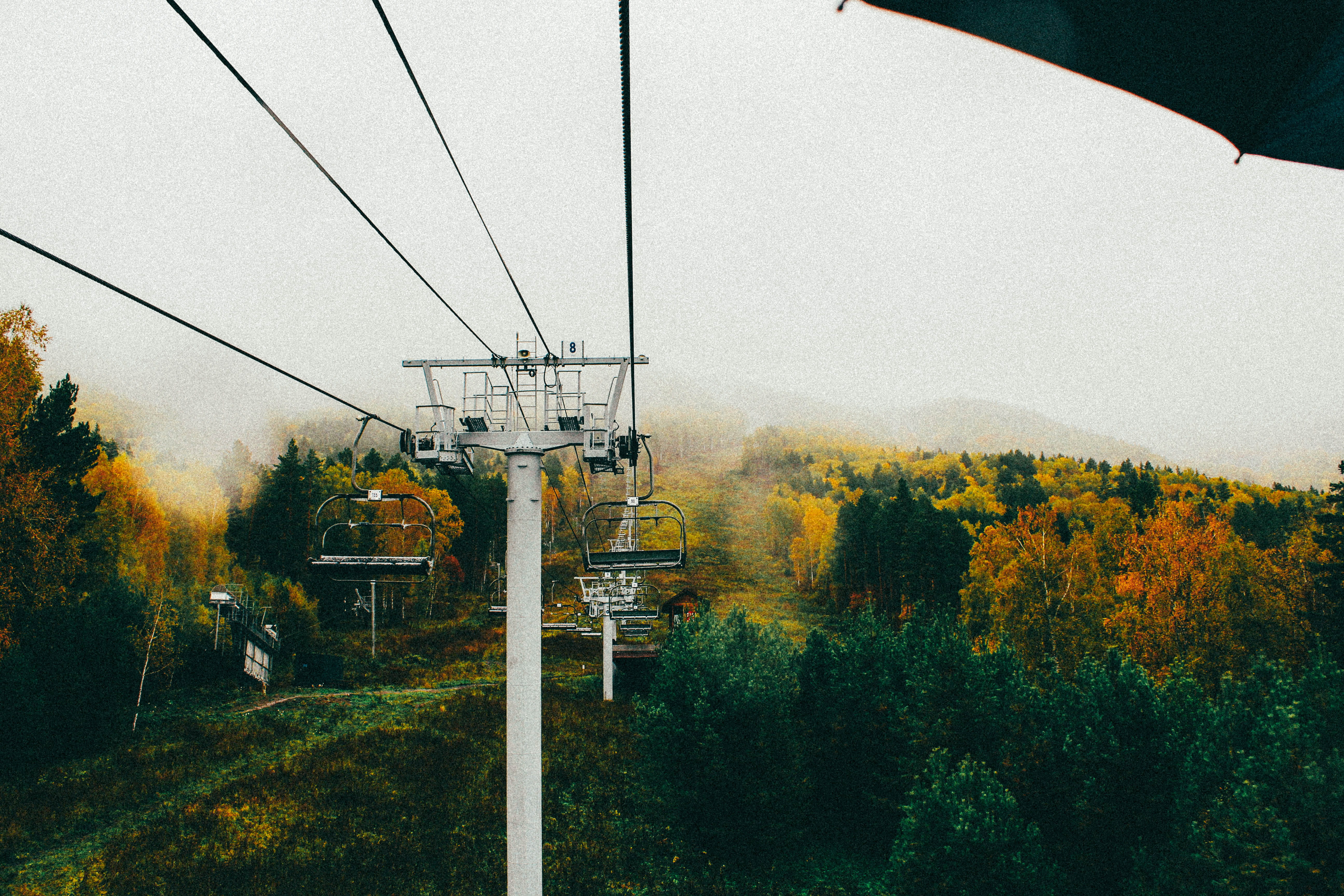 mode of transportation, telephone line, day, growth, overhead cable car, sky, cable, connection, nature, 5K, tree, cable car, forest, autumn, land, technology, HD Wallpaper