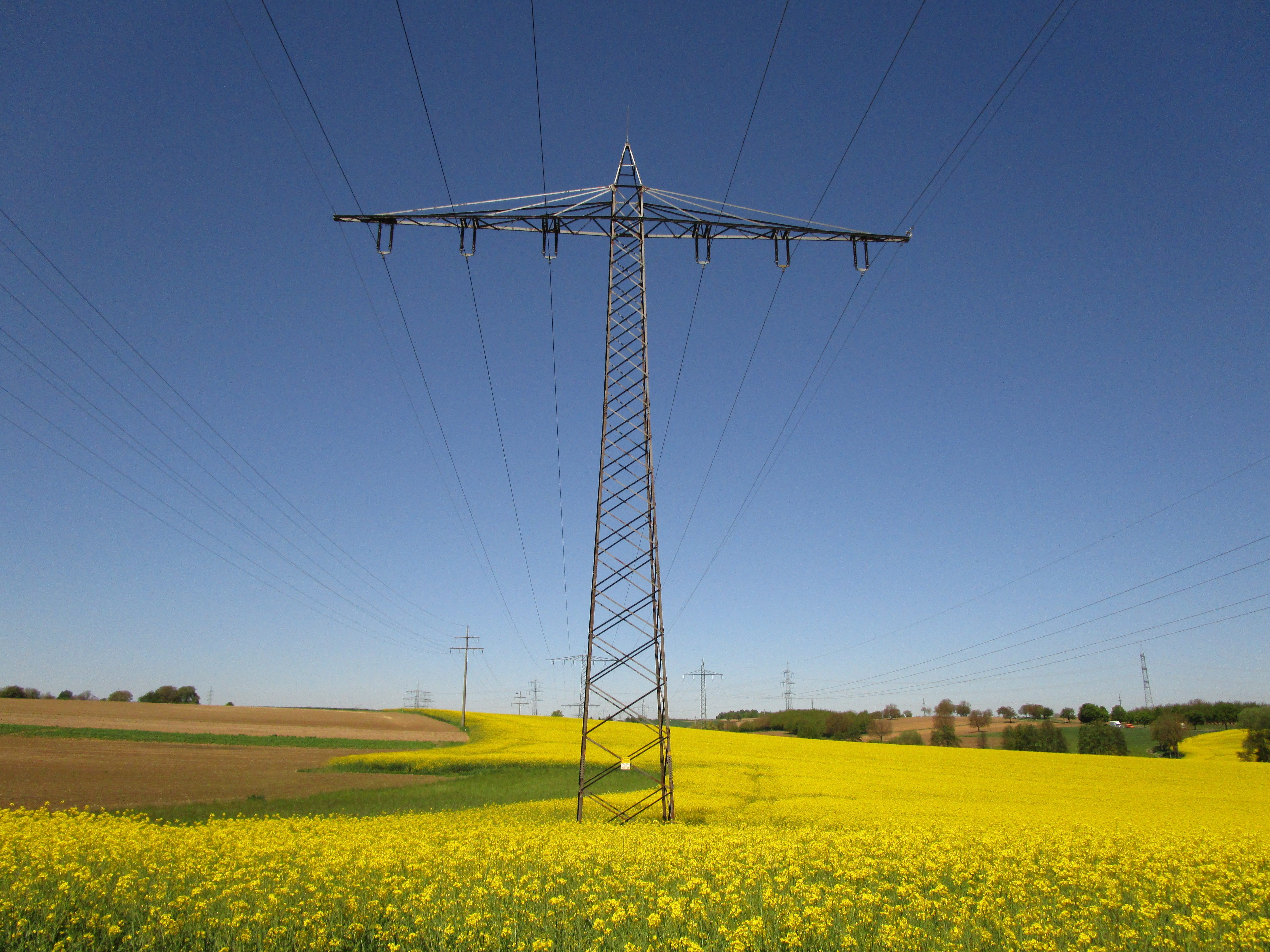 environment, power poles, technology, rural, utility, fuel and power generation, reinforce, middle, connection, energy, landscape, strommast, clear sky, HD Wallpaper