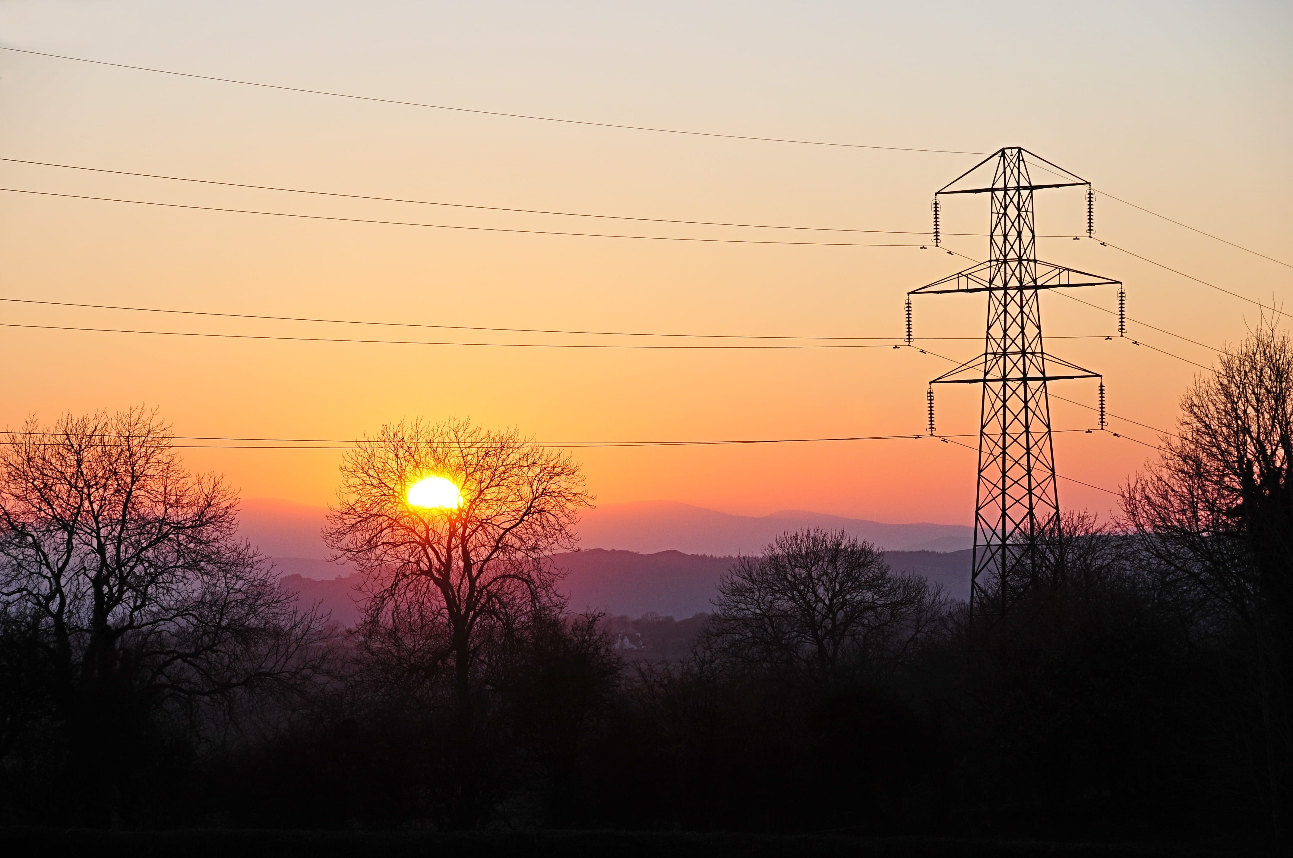 golden, plant, cables, tree, connection, orange color, united kingdom, trees, transformer, spring sunset, hour, nature, pylon, no people, current, mountains, HD Wallpaper