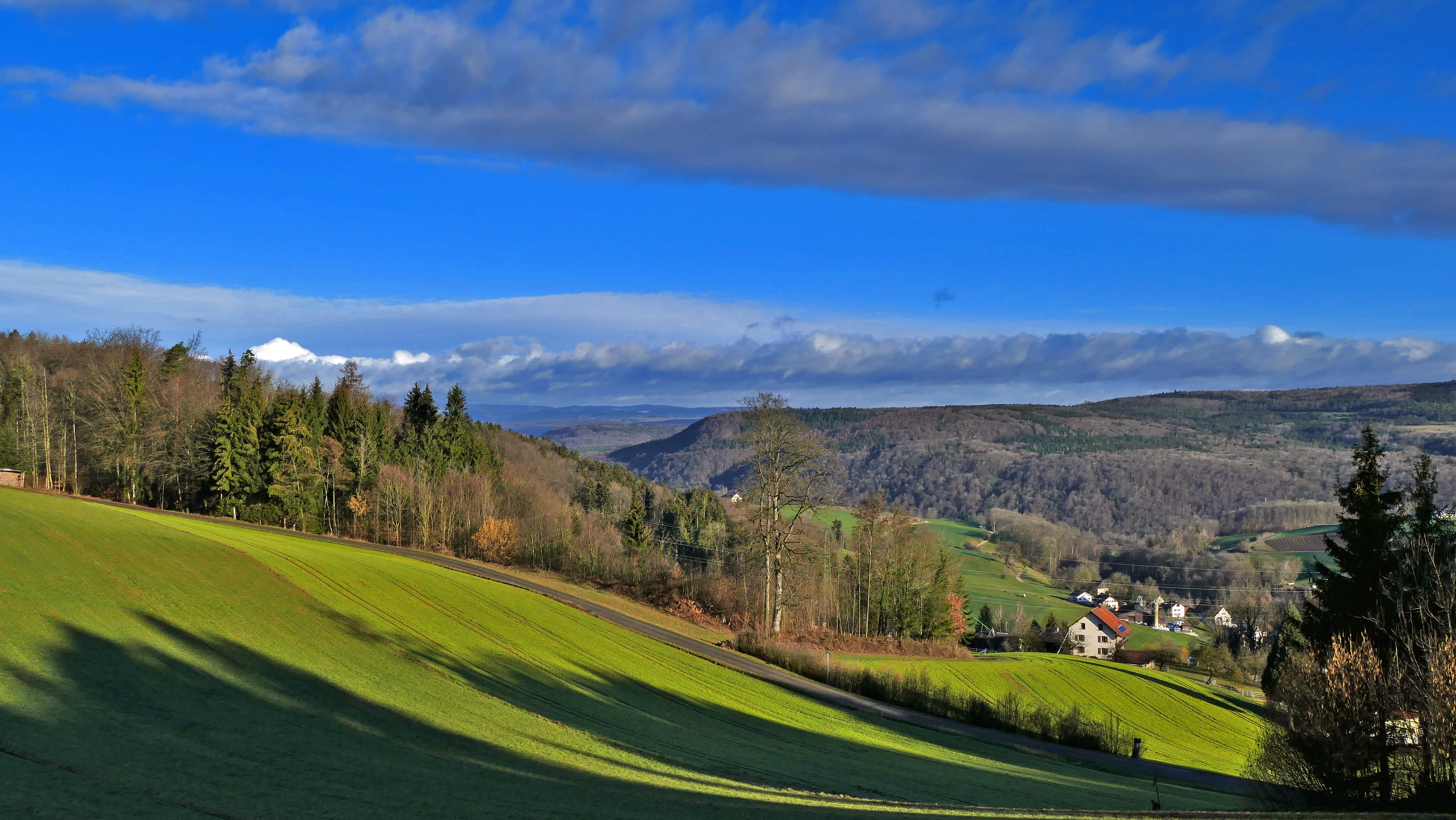 wislikofen, sun, shadow, bushes, day, beauty in nature, non-urban scene, switzerland, aargau, 5K, black forest, mountain, idyllic, forests, houses, sky, HD Wallpaper
