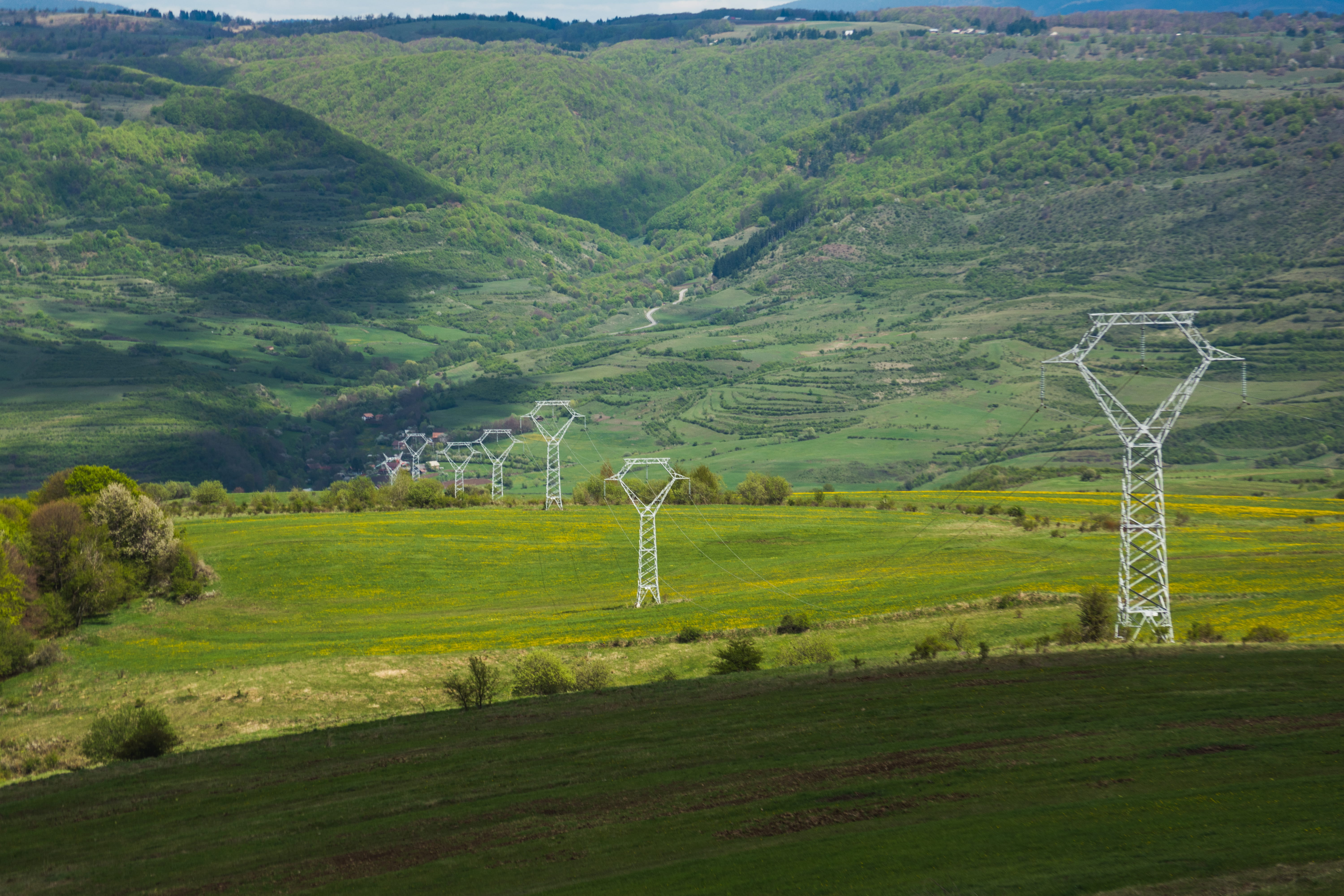 wild, no people, mountains, mountain, electric transmission tower, romania, landscape, outdoor, 5K, green, tree, grass, slope, beauty in nature, rolling landscape, HD Wallpaper