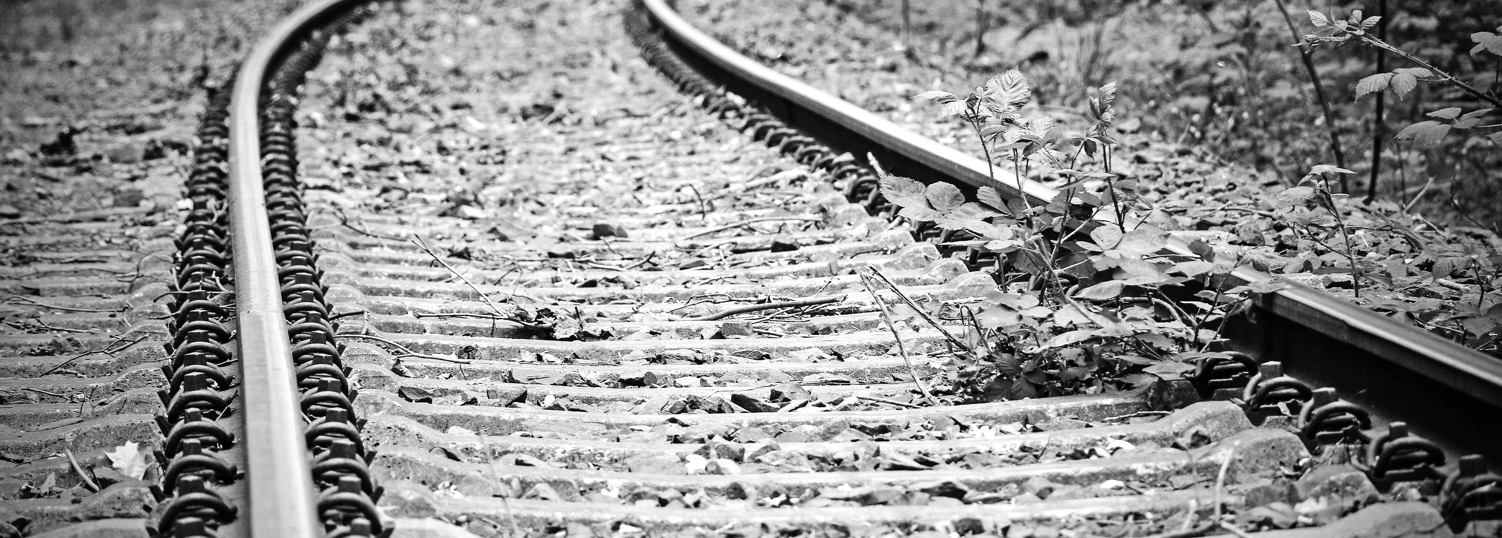 industry, platform, grass, transportation, Train, traffic, plant, no people, outdoors, nature, wheel, field, day, water, growth, junction, railway rails, HD Wallpaper
