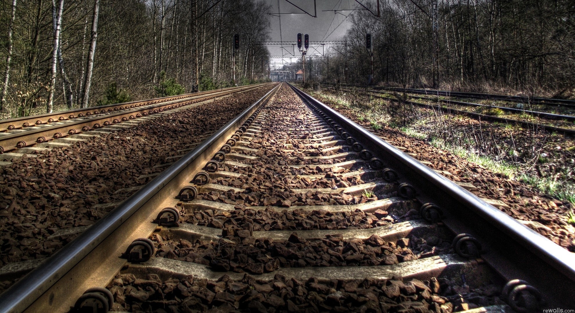 diminishing Perspective, the way forward, vanishing Point, forest, travel, metal, no People, 1080P, transportation, gravel, rails, land, the sky, iron - Metal, HD Wallpaper
