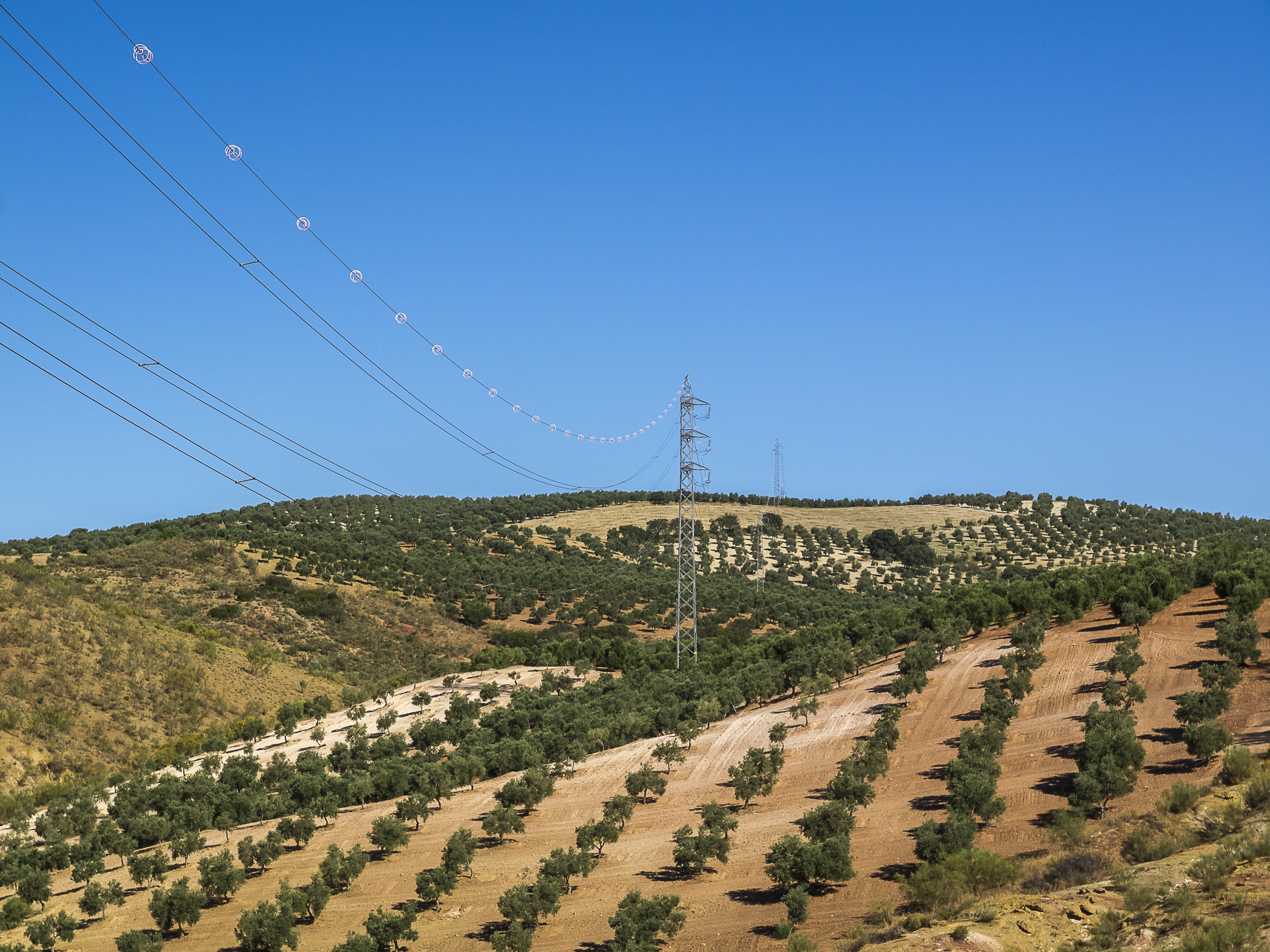 cable, blue, field, day, landscape, olives, agriculture, land, high-voltage tower, nature, scenics - nature, power lines, power line, connection, no people, HD Wallpaper