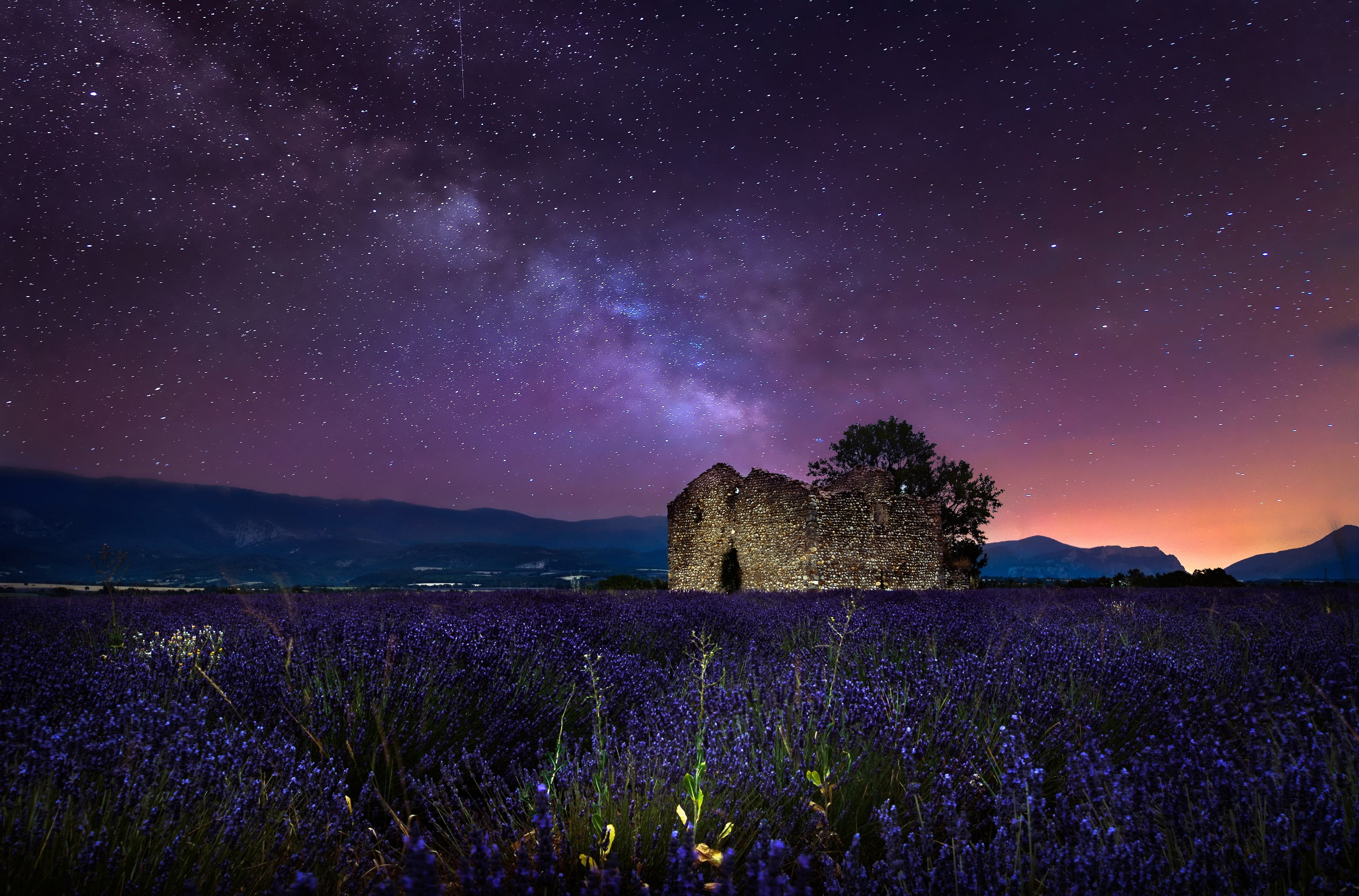 nature, night, purple, lavender, stars, field, growth, beauty in nature, flowers, gray, astronomy, star - space, plant, architecture, tranquility, no people, HD Wallpaper