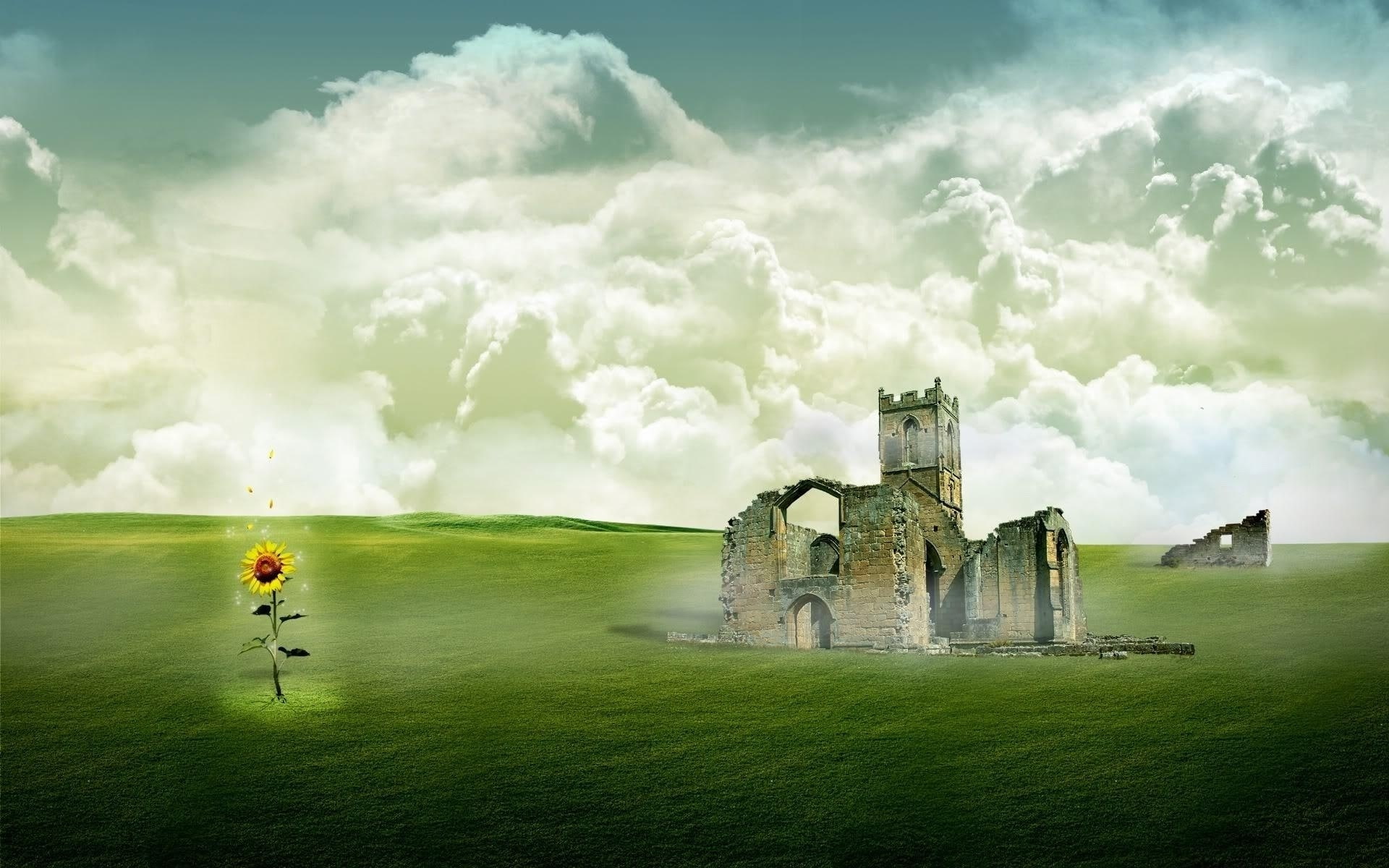 1080P, reborn, collapse, HD Wallpaper