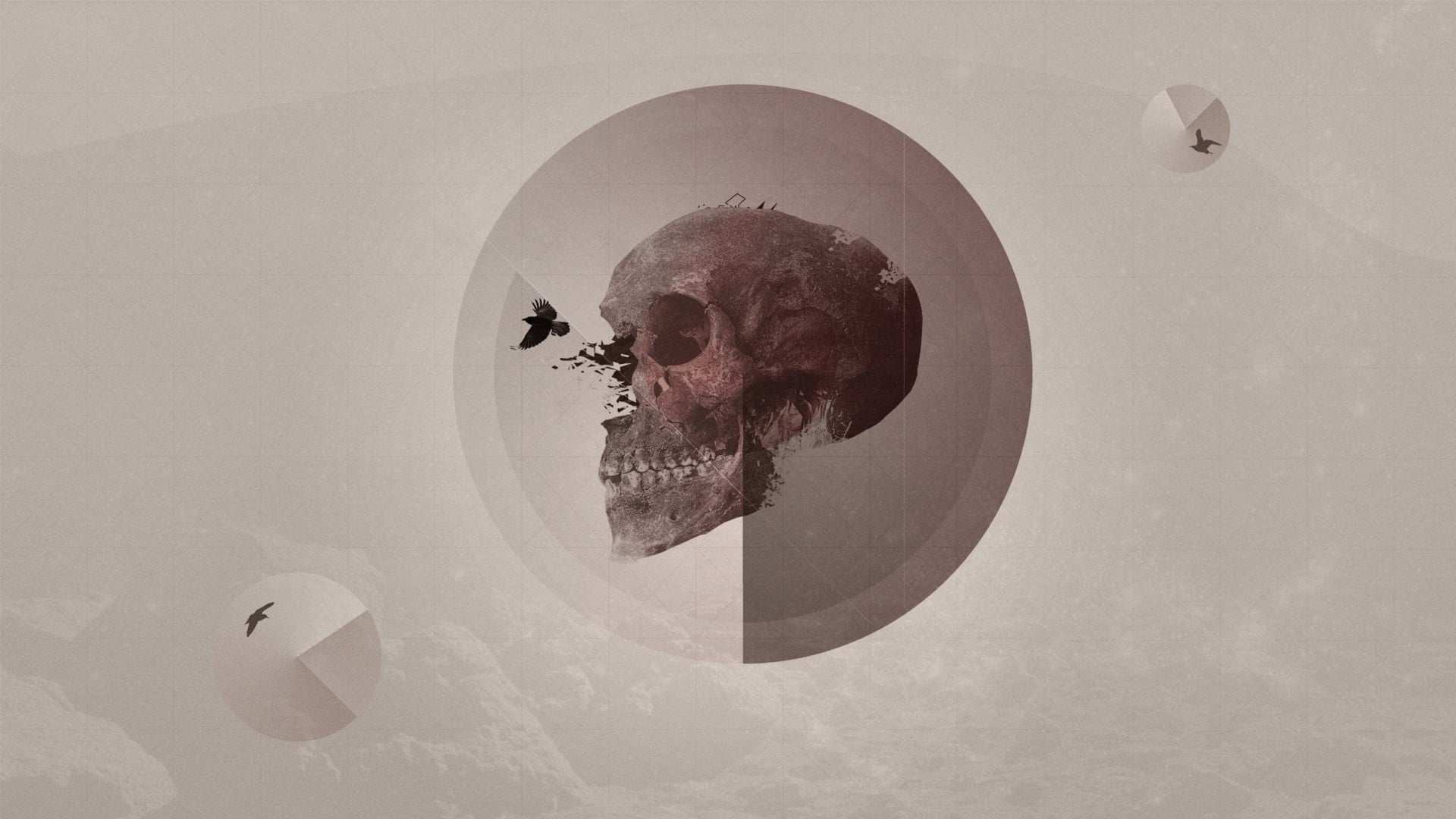 pattern, nature, circle, composite image, birds, geometry, sky, indoors, raven, skull, architecture, ceiling, art and craft, human representation, creativity, HD Wallpaper