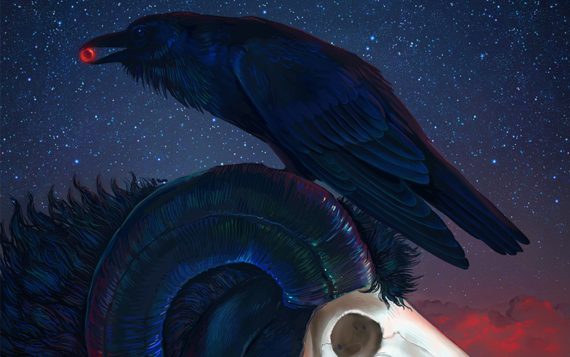 birds, sheep, Halloween, 1080P, raven, HD Wallpaper