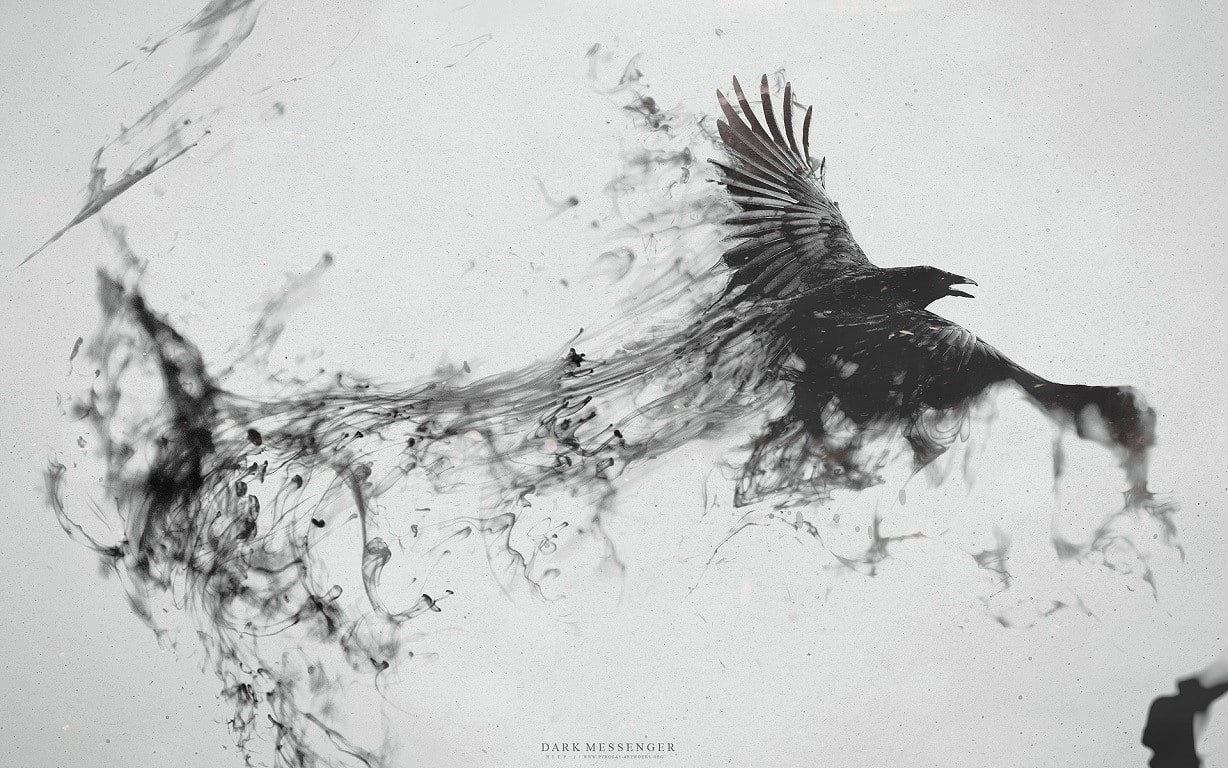 480P, artwork, birds, animals, raven, HD Wallpaper
