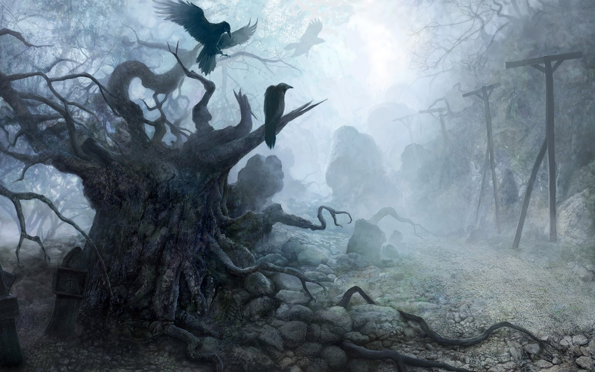 raven, 1080P, birds, fantasy art, HD Wallpaper