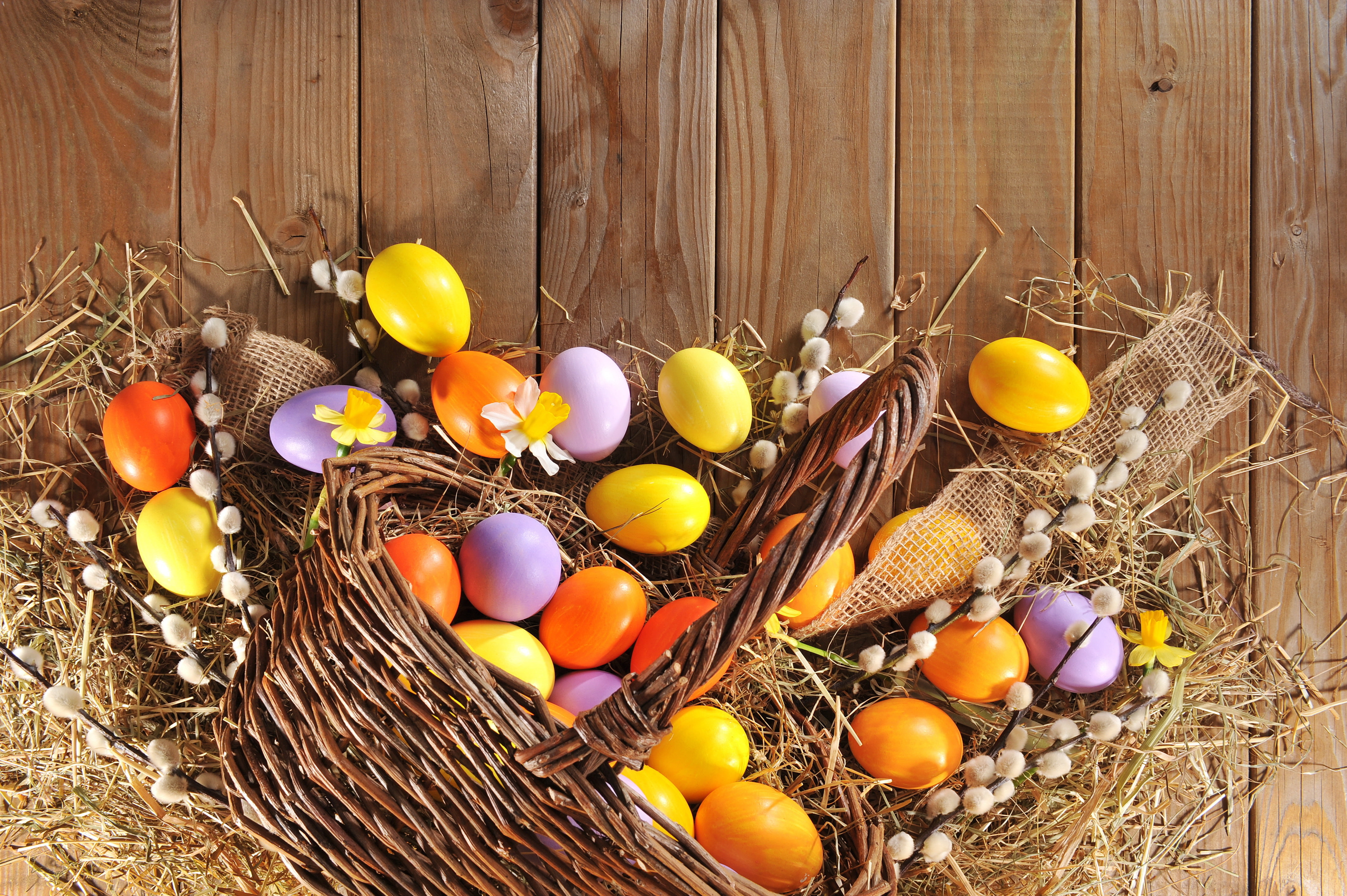 4K, holiday, Verba, eggs, wood, spring, Easter, happy, HD Wallpaper