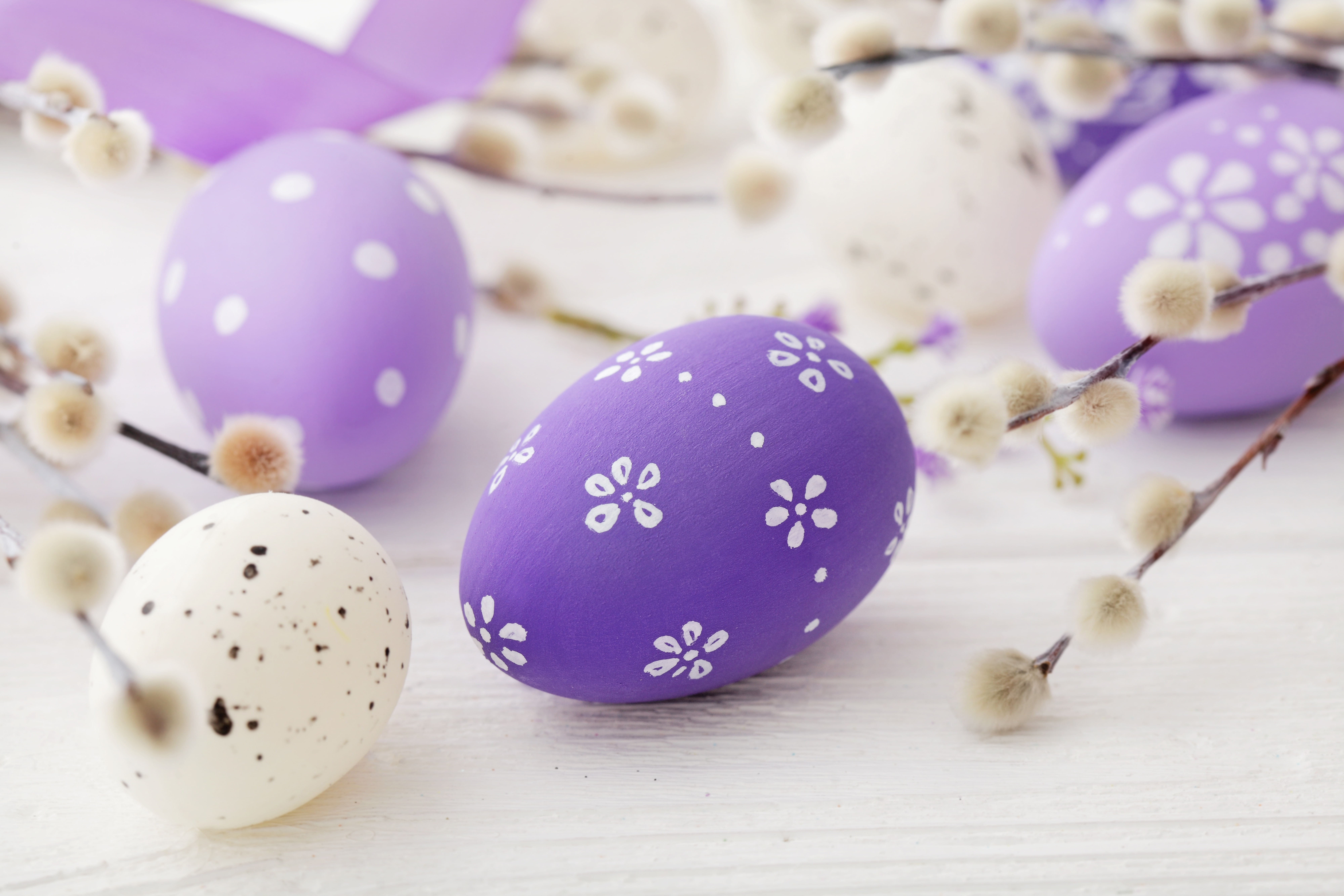 the painted eggs, Easter, Verba, pastel, spring, eggs, 8K, happy, decoration, HD Wallpaper
