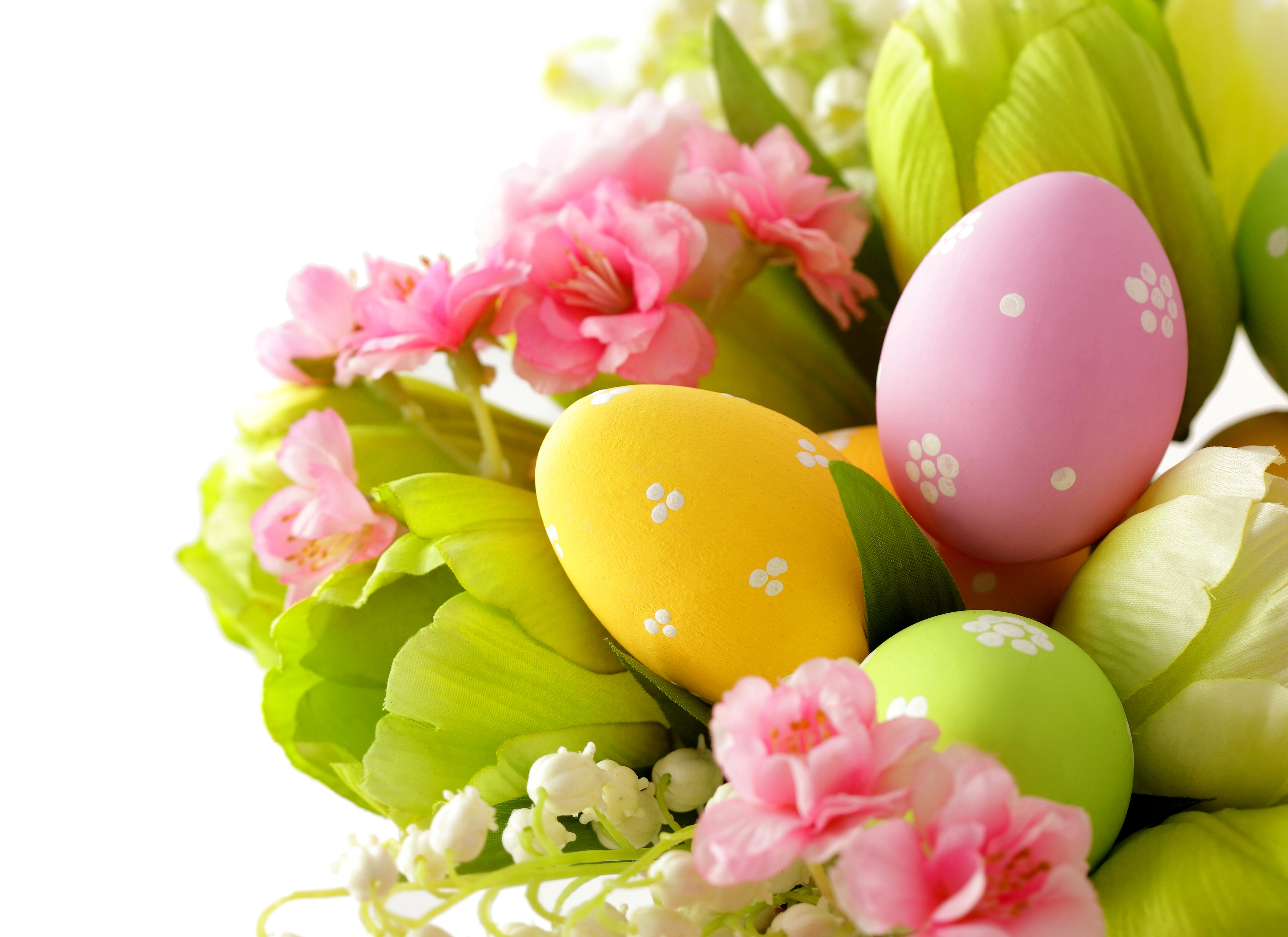 5K, leaves, easter egg, bouquet, holiday, Easter, multi colored, tulip, flower arrangement, celebration, close-up, flowers, studio shot, pink color, eggs, HD Wallpaper