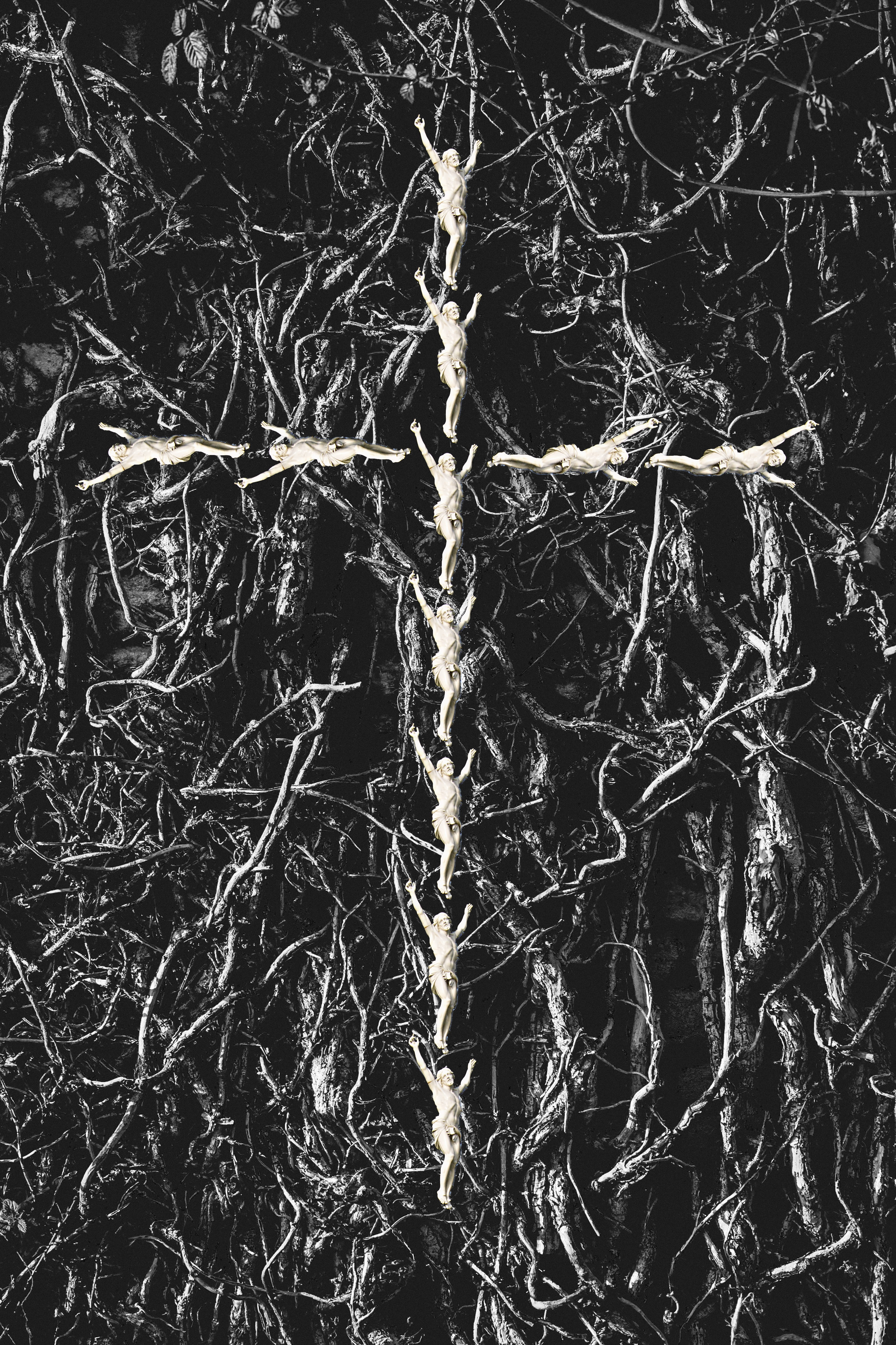 christian, root, tangled, spirituality, tree, hope, ivy, dry, nature, christ, worship, winter, bare tree, dead plant, outdoors, 5K, textured, pattern, Phone HD Wallpaper