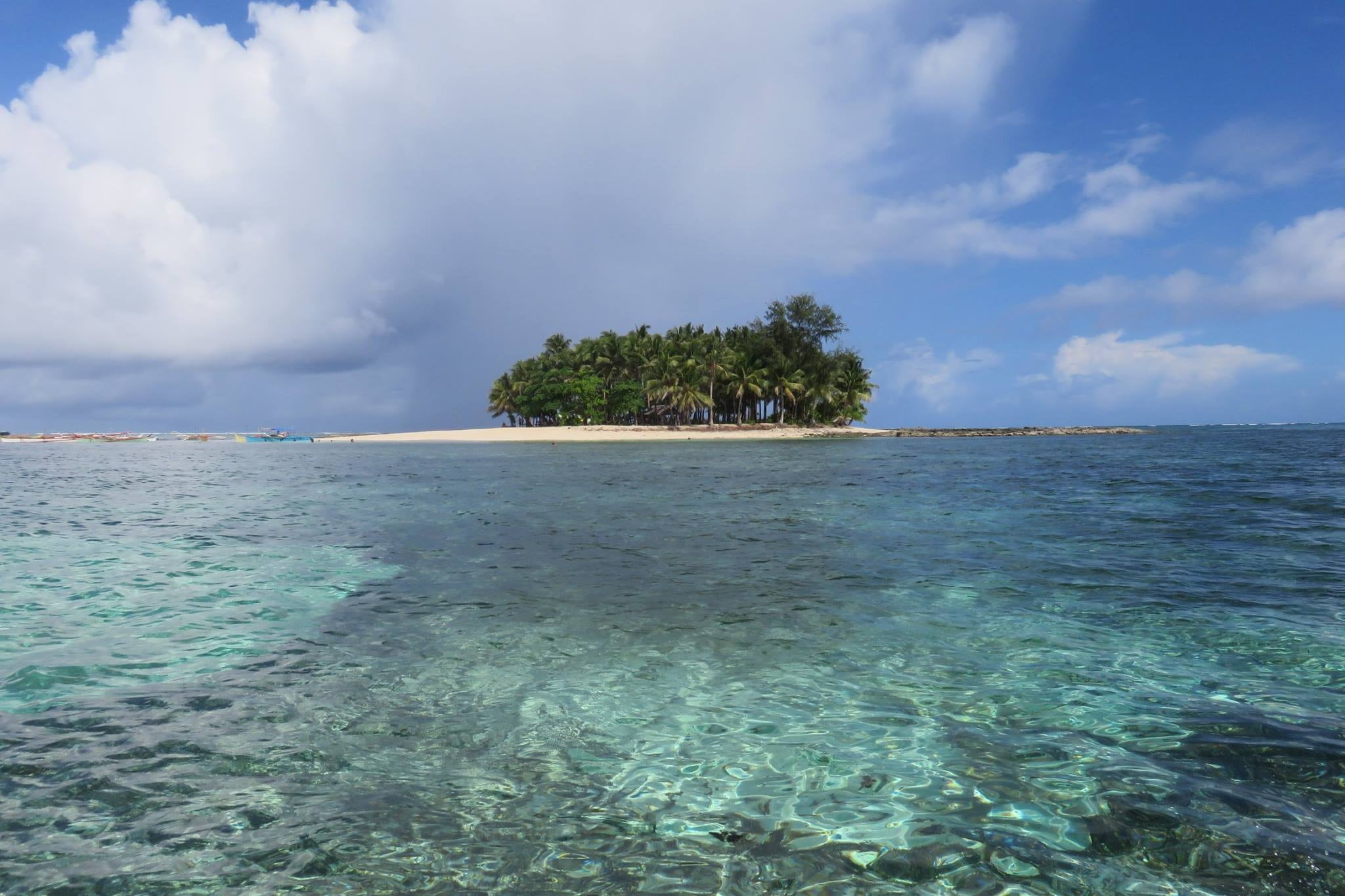 beauty in nature, sky, 1080P, sea, cloud - sky, agastopia, tropical climate, no people, tranquil scene, scenics, scenics - nature, shallow, tree, water, HD Wallpaper