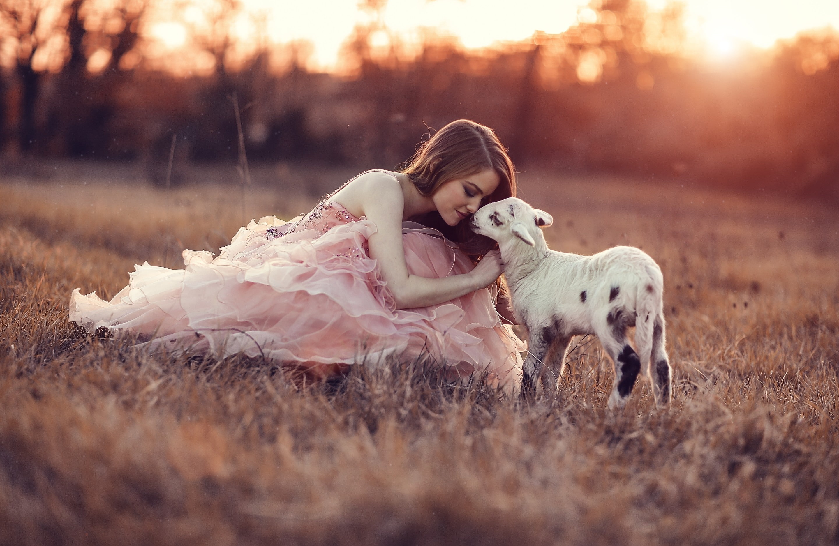 women outdoors, childhood, domestic animals, girls, child, women, tree, people, 2K, hairstyle, offspring, togetherness, plant, domestic, dog, model, lamb, HD Wallpaper